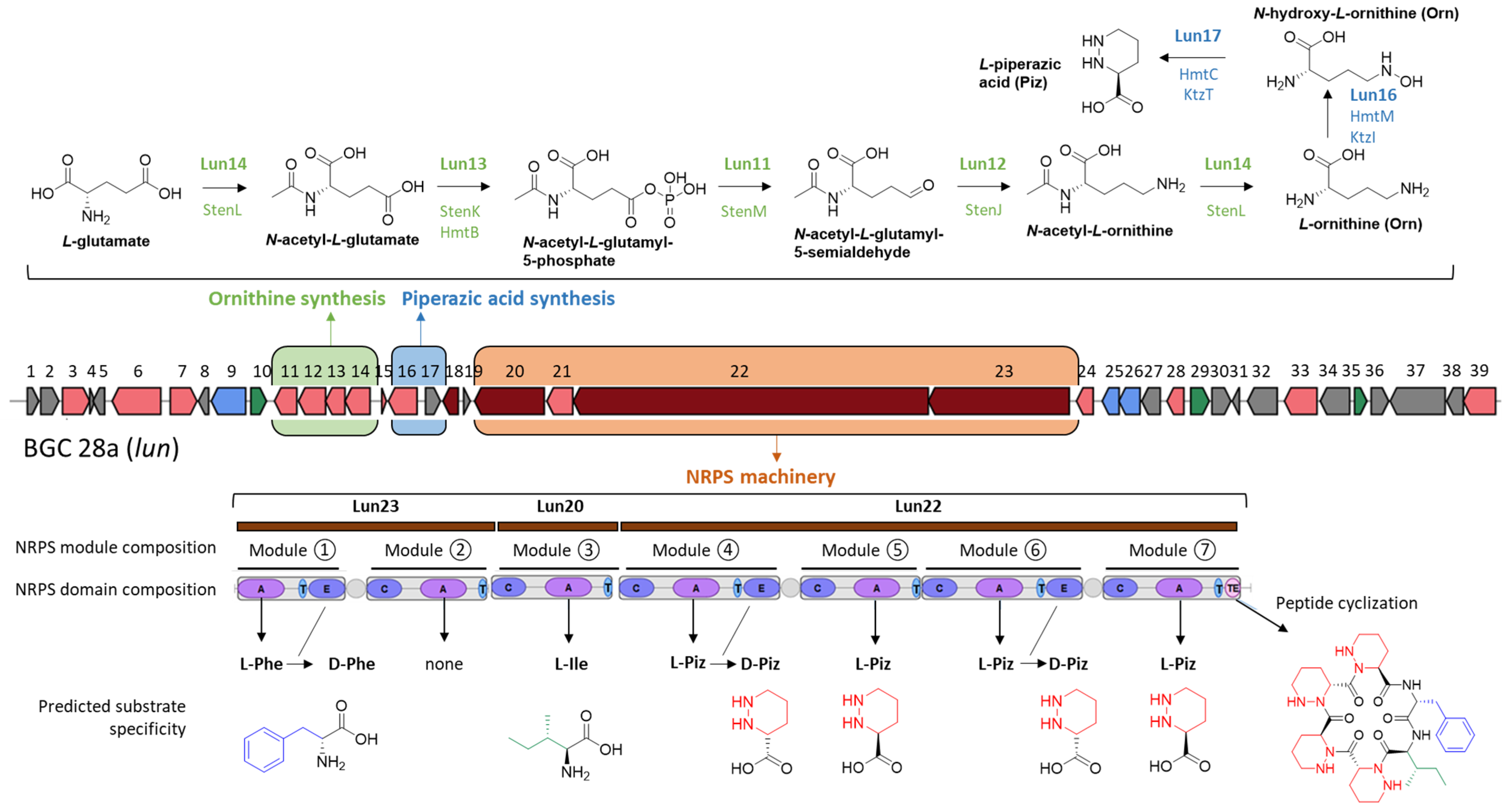 Ijms 24 01114 g001 Ijms 24 01114 g001