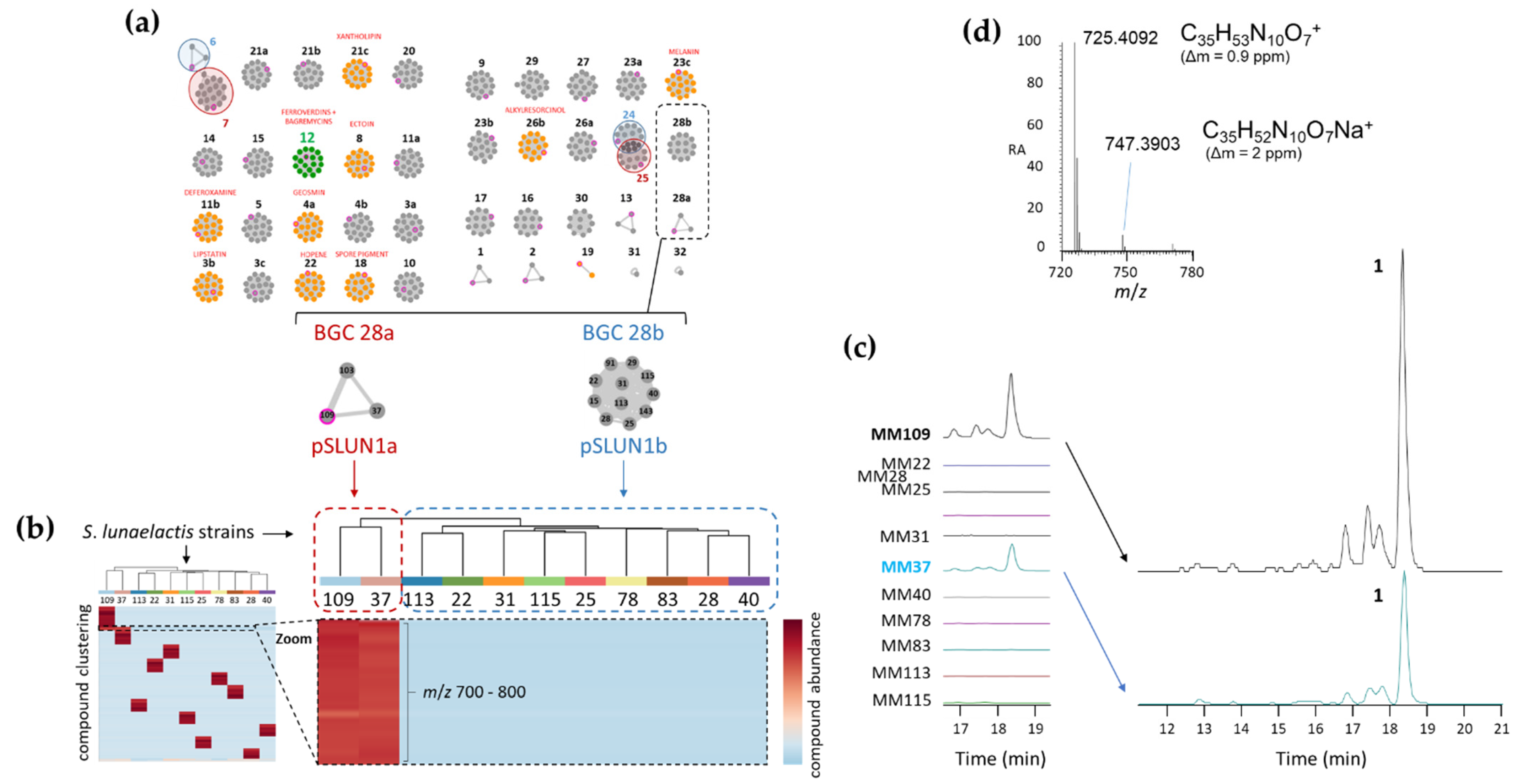 Ijms 24 01114 g002 Ijms 24 01114 g002