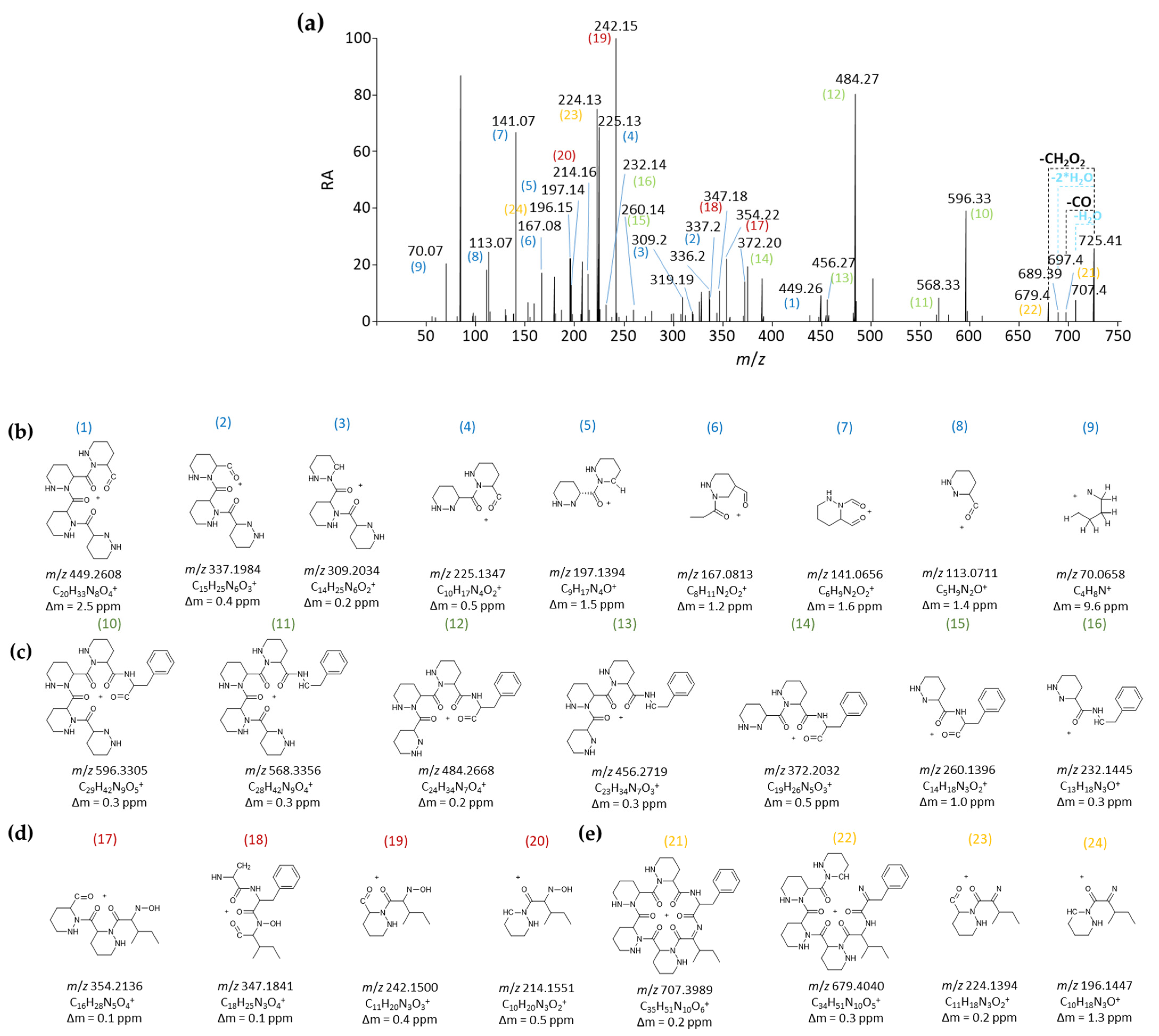 Ijms 24 01114 g004 Ijms 24 01114 g004