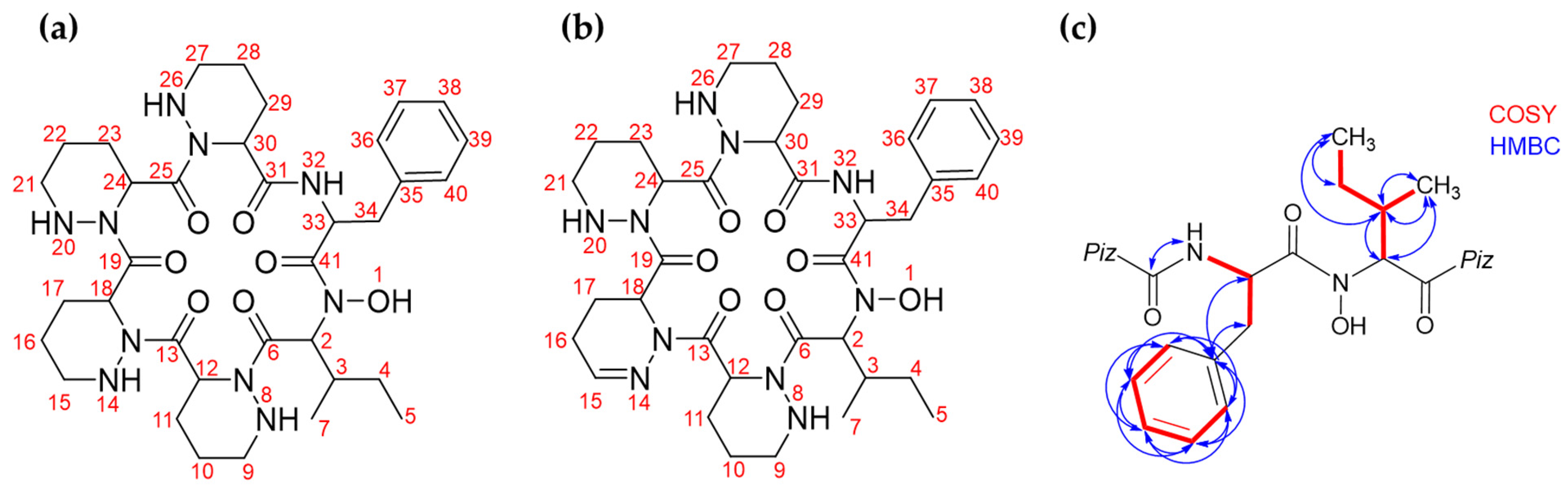 Ijms 24 01114 g005 Ijms 24 01114 g005
