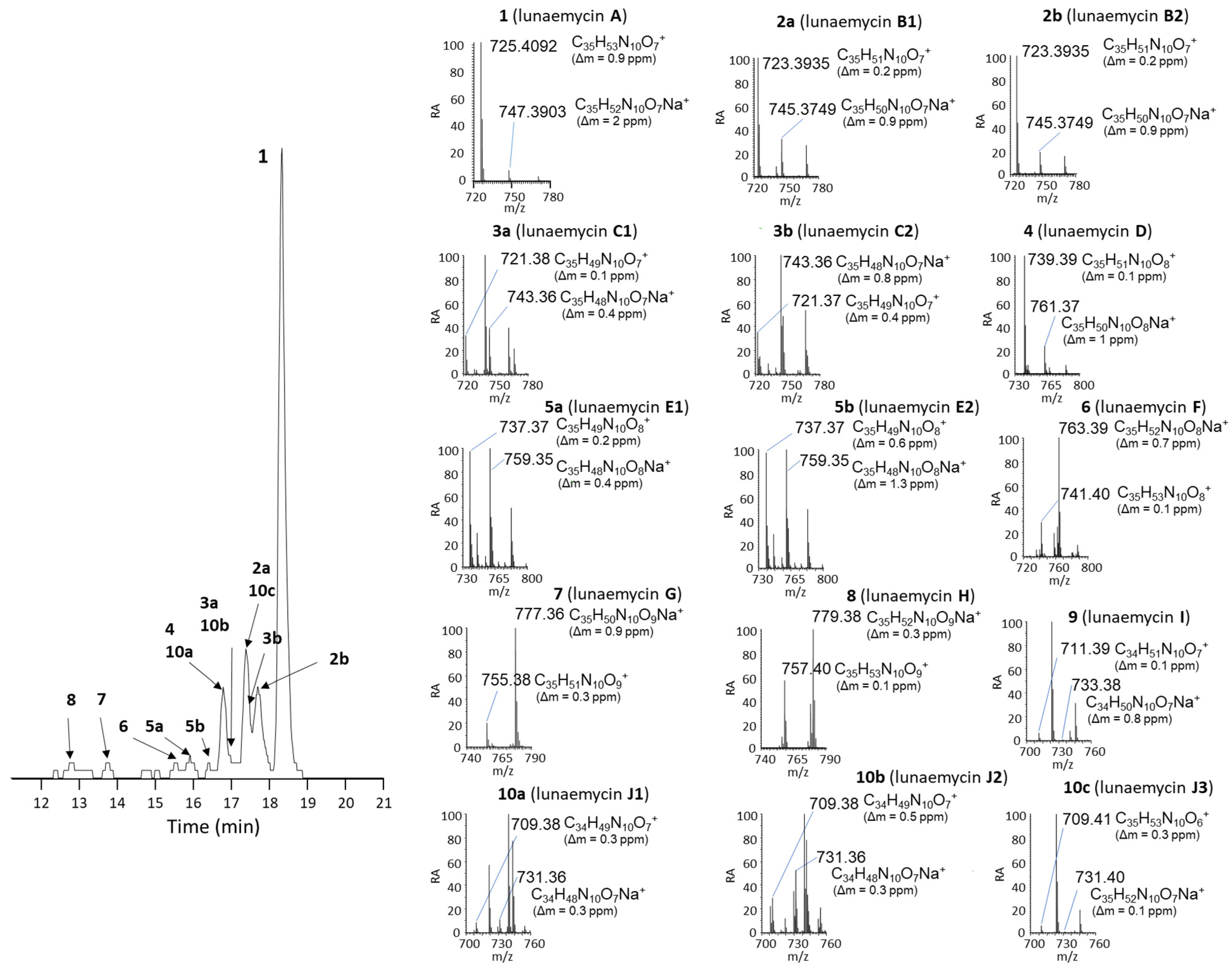 Ijms 24 01114 g007 Ijms 24 01114 g007