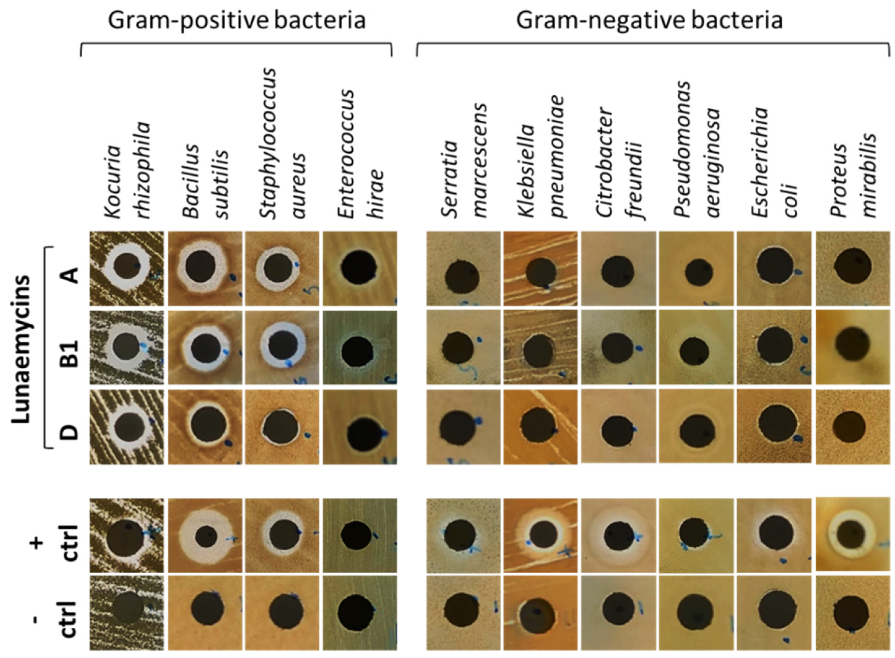 Ijms 24 01114 g008 Ijms 24 01114 g008