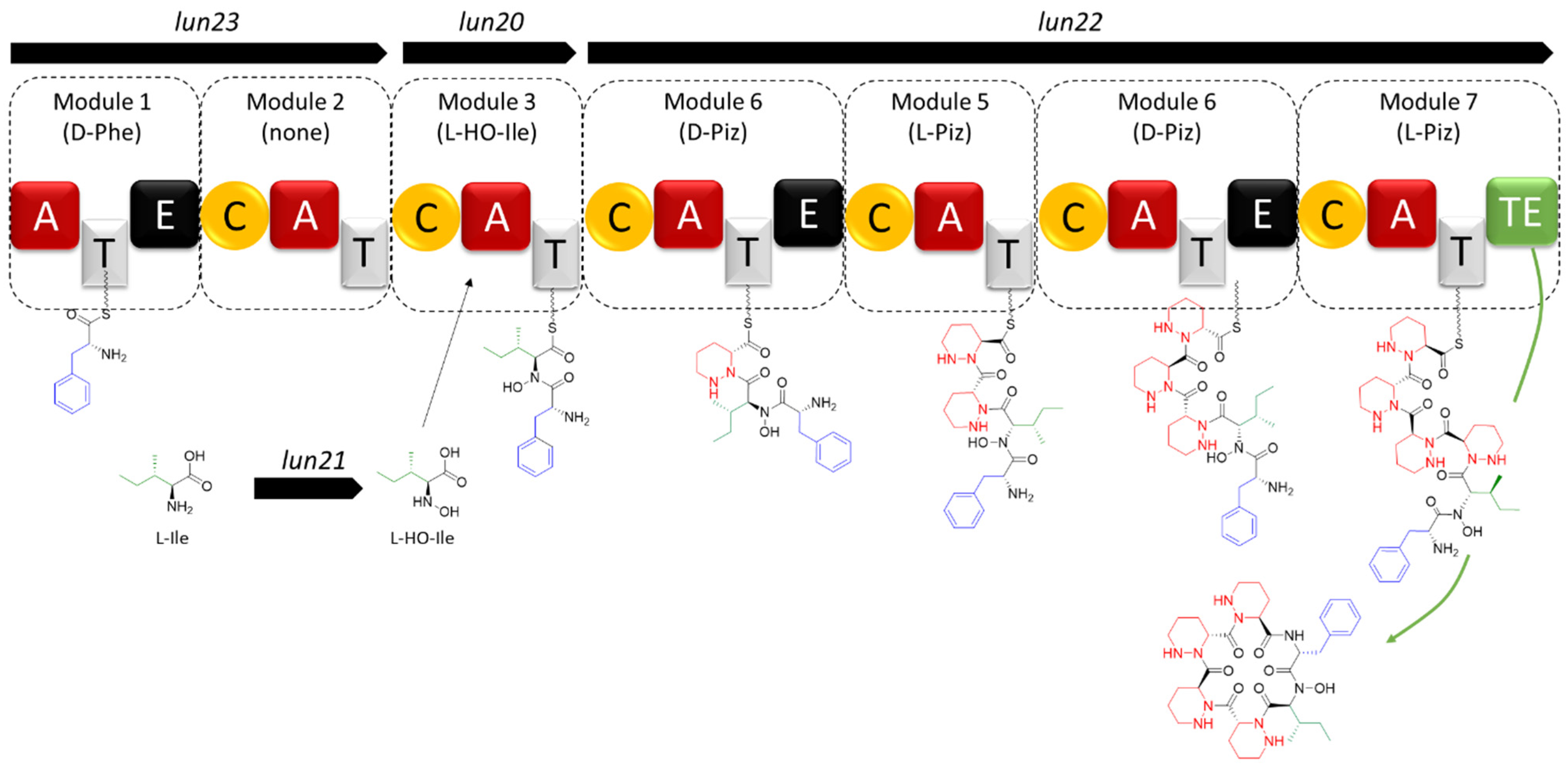 Ijms 24 01114 g009 Ijms 24 01114 g009