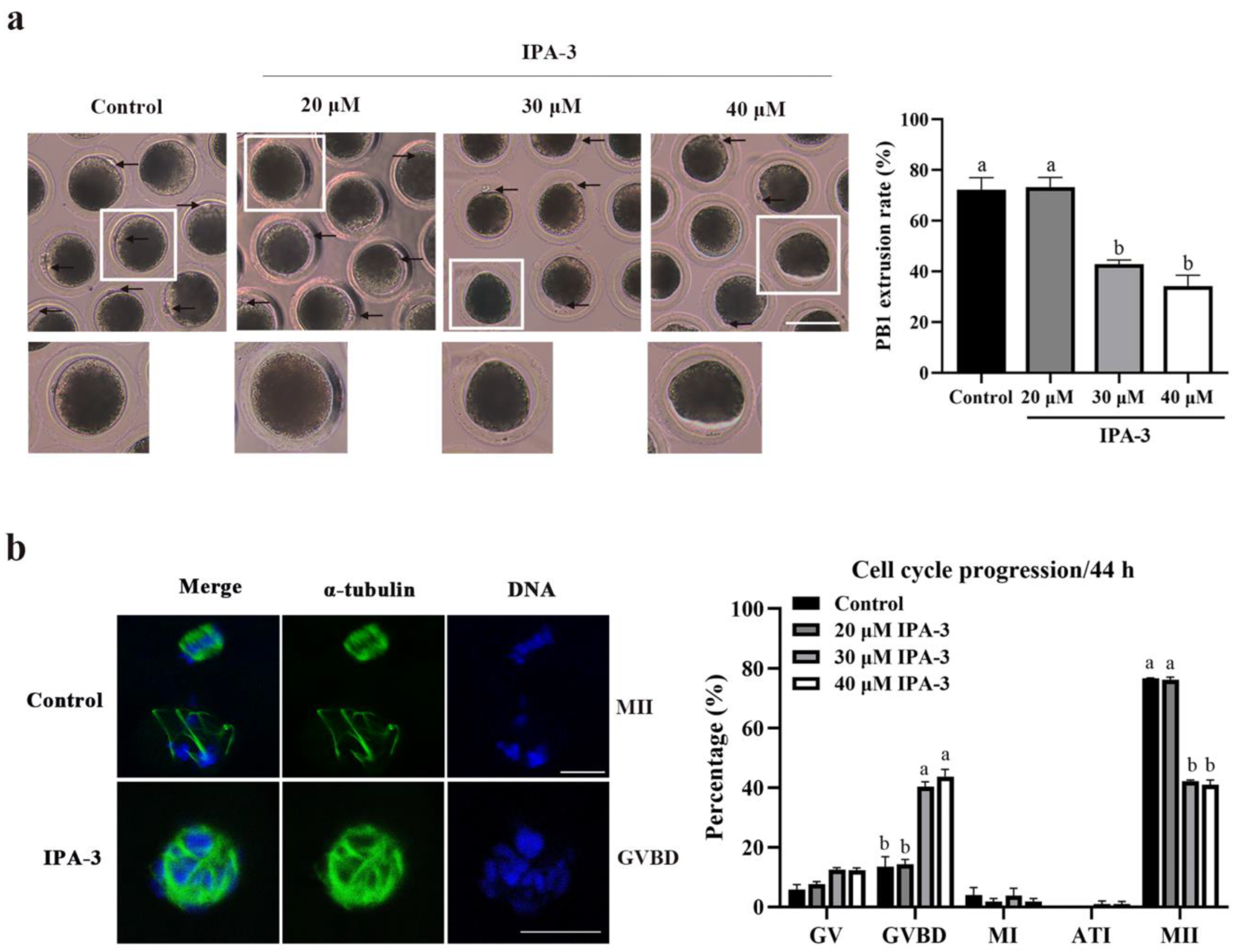 Ijms 24 01123 g002 Ijms 24 01123 g002