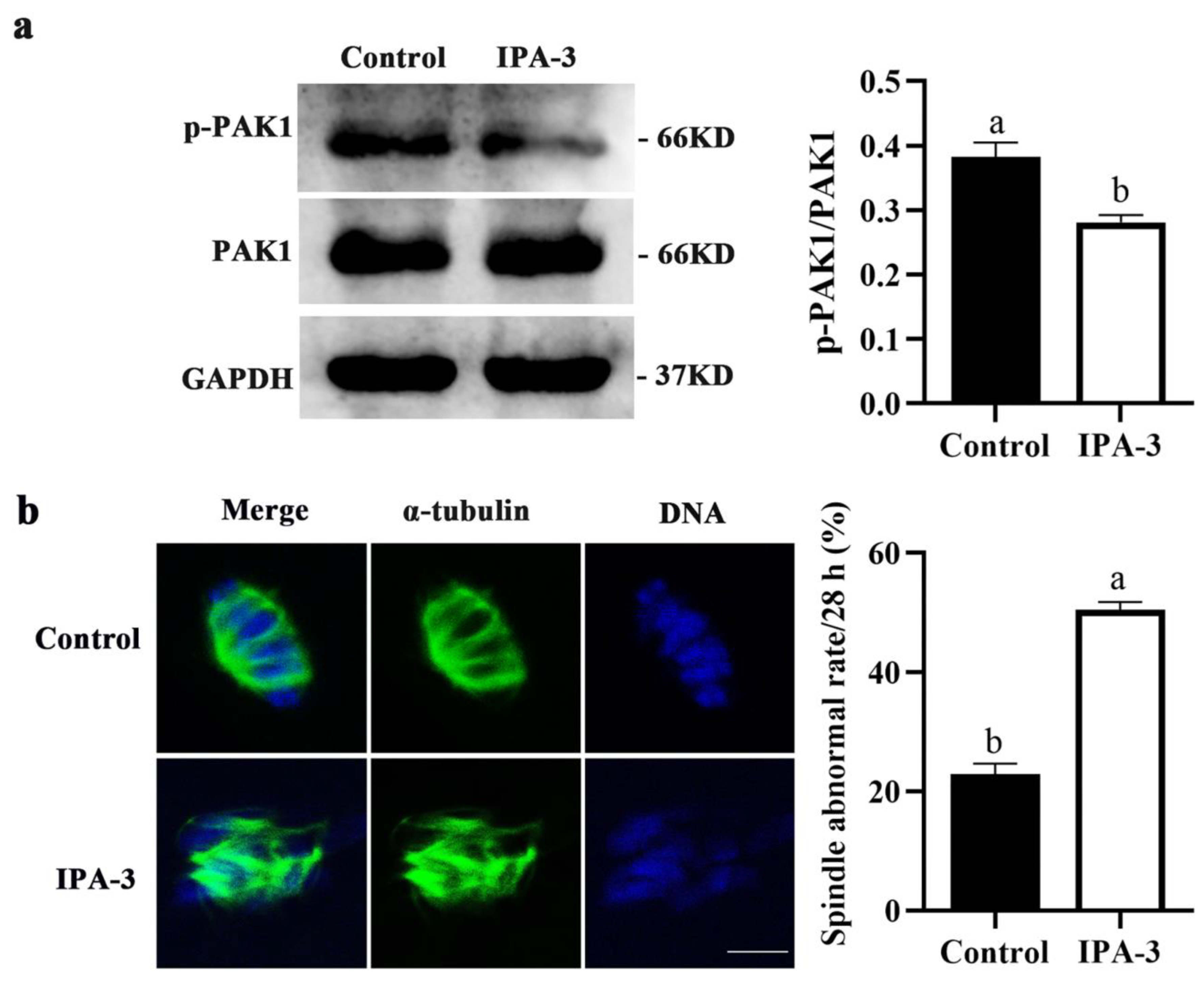 Ijms 24 01123 g003 Ijms 24 01123 g003