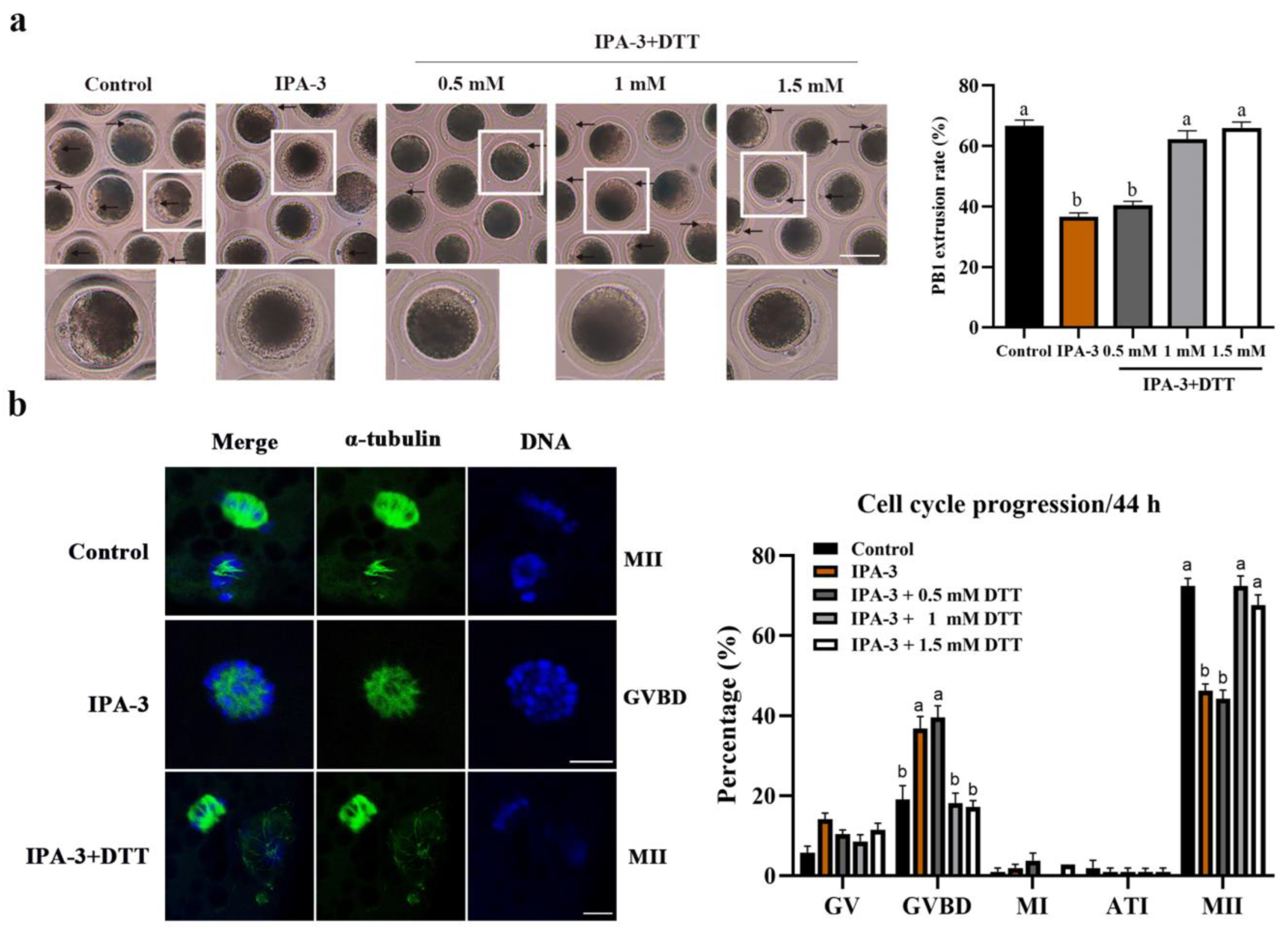 Ijms 24 01123 g004 Ijms 24 01123 g004