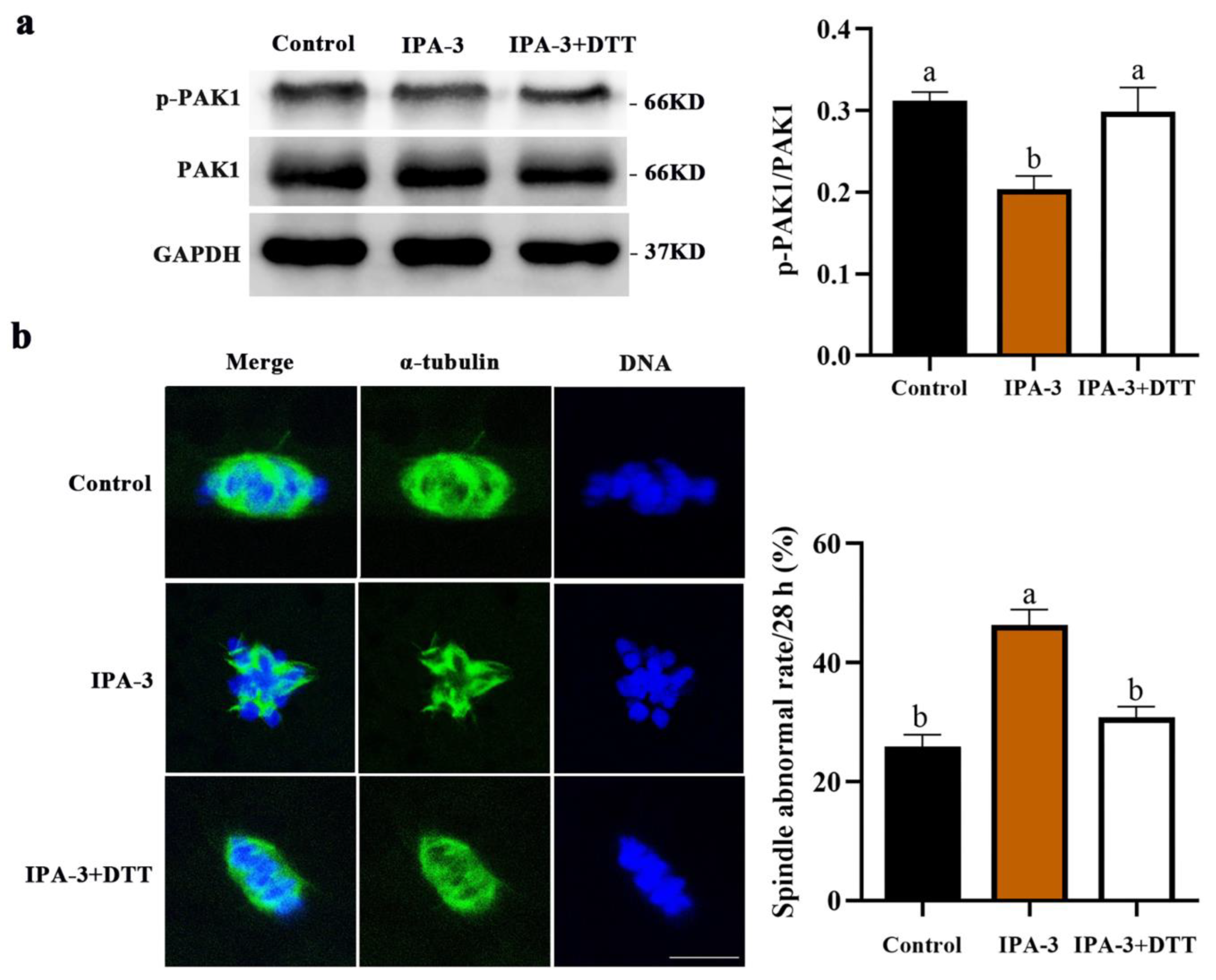 Ijms 24 01123 g005 Ijms 24 01123 g005