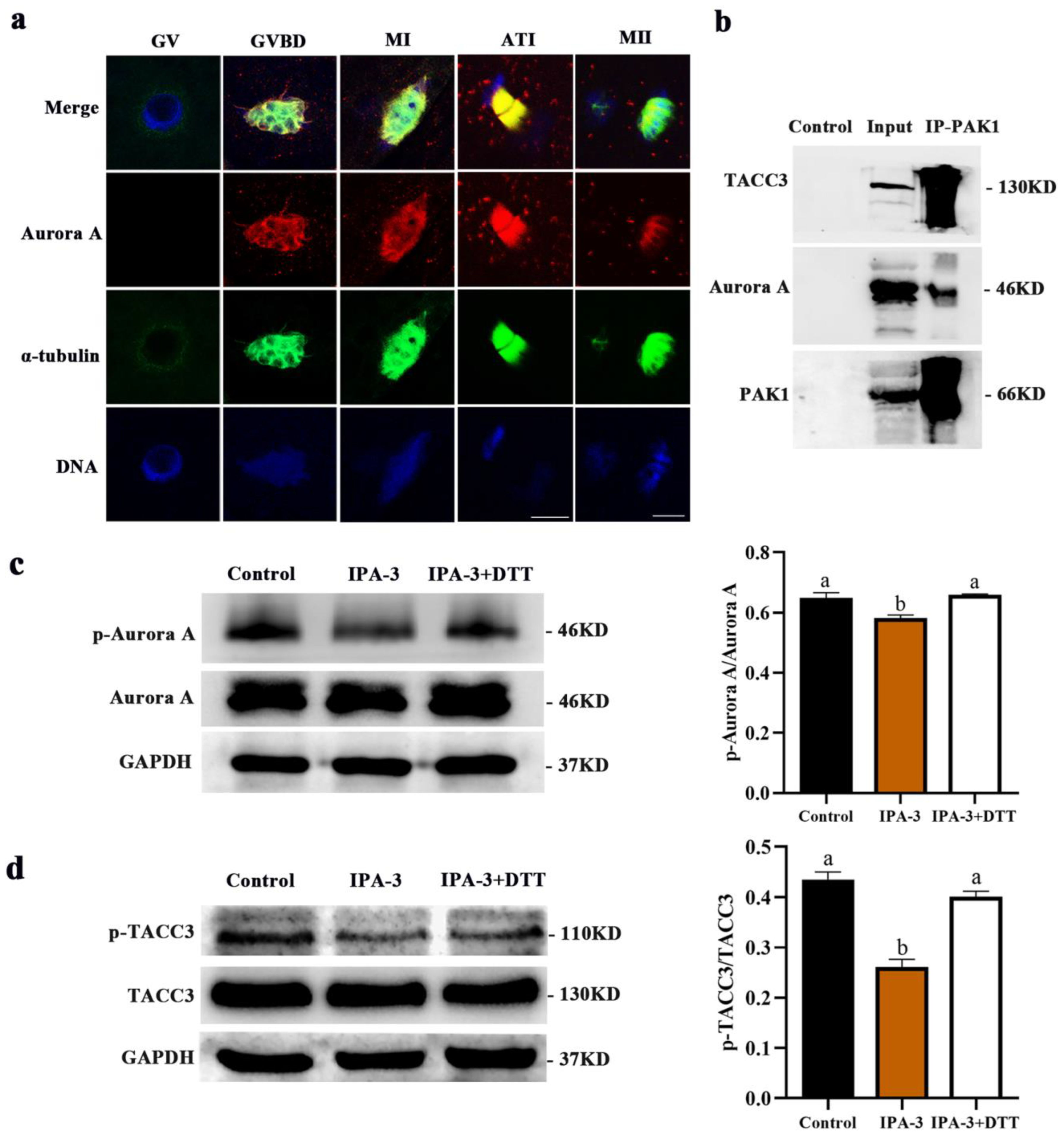 Ijms 24 01123 g006 Ijms 24 01123 g006