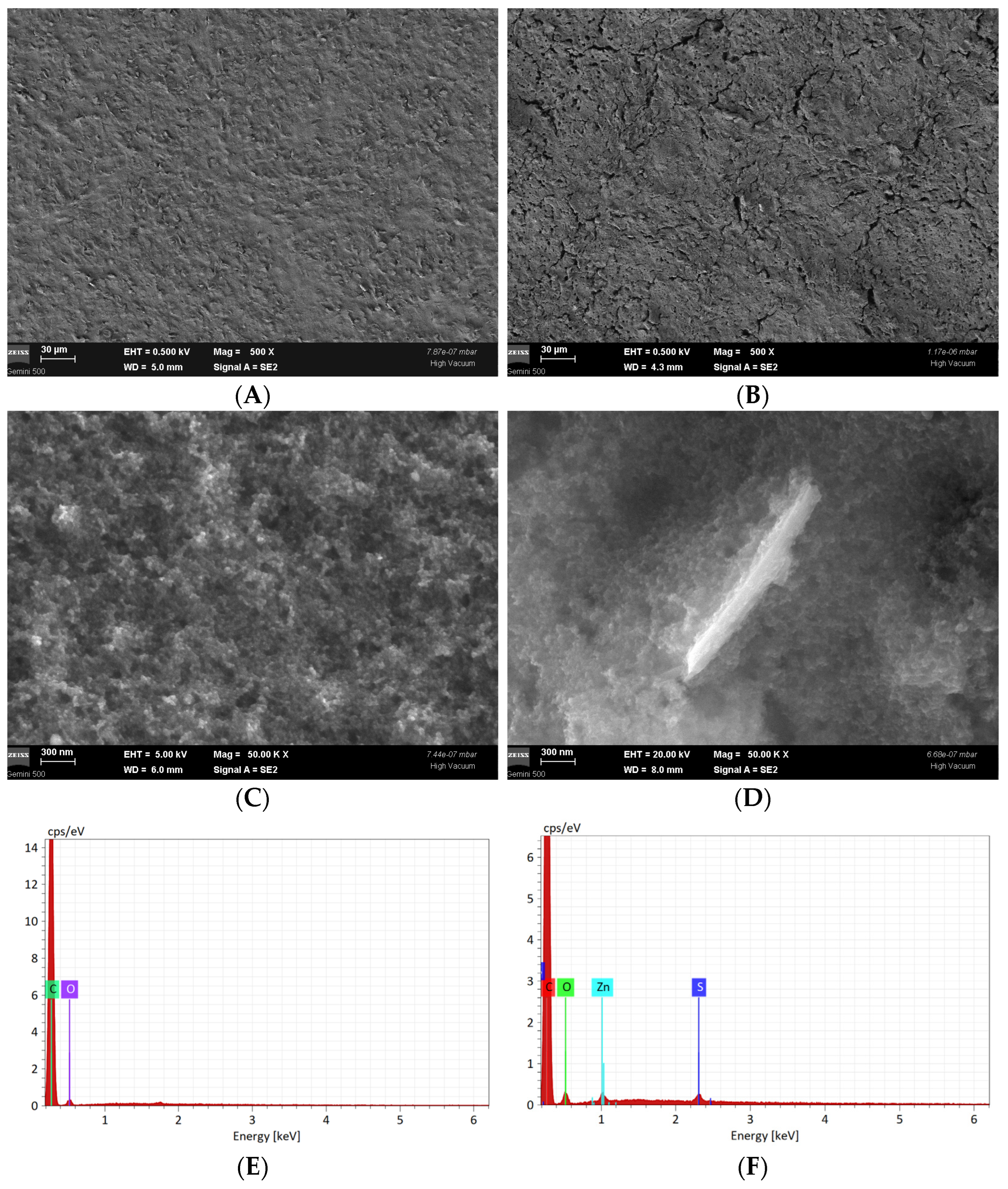 Ijms 24 01129 g001 Ijms 24 01129 g001