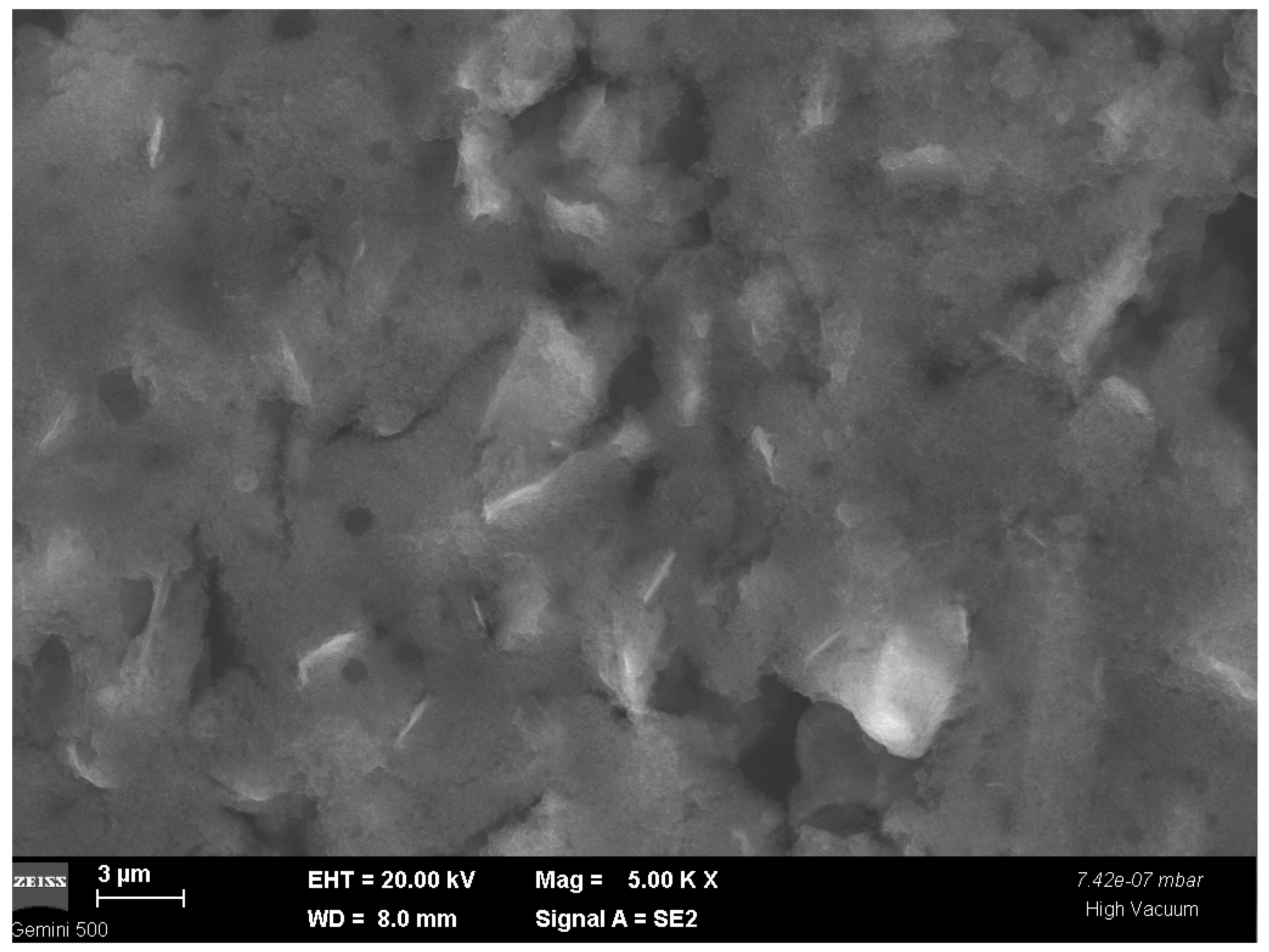 Ijms 24 01129 g002 Ijms 24 01129 g002