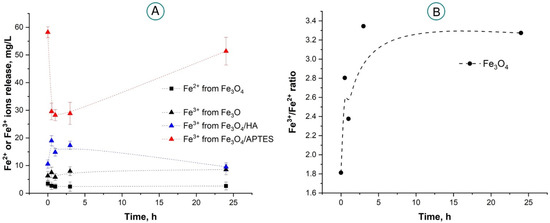 Functionalized Magnetite Nanoparticles: Characterization