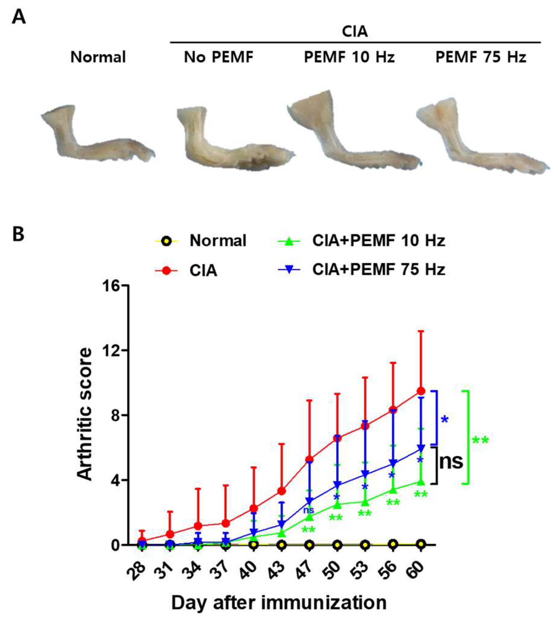 Ijms 24 01137 g001 Ijms 24 01137 g001