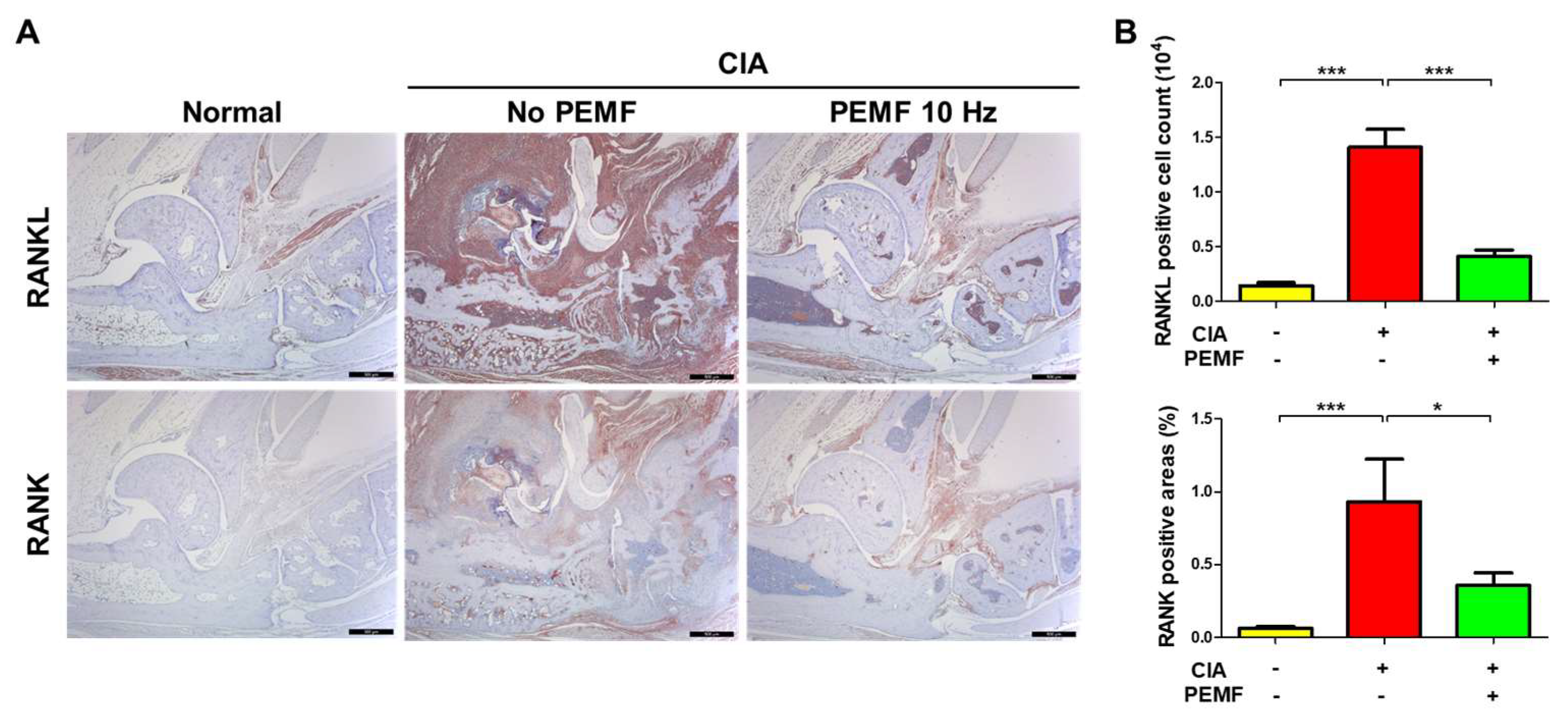 Ijms 24 01137 g006 Ijms 24 01137 g006