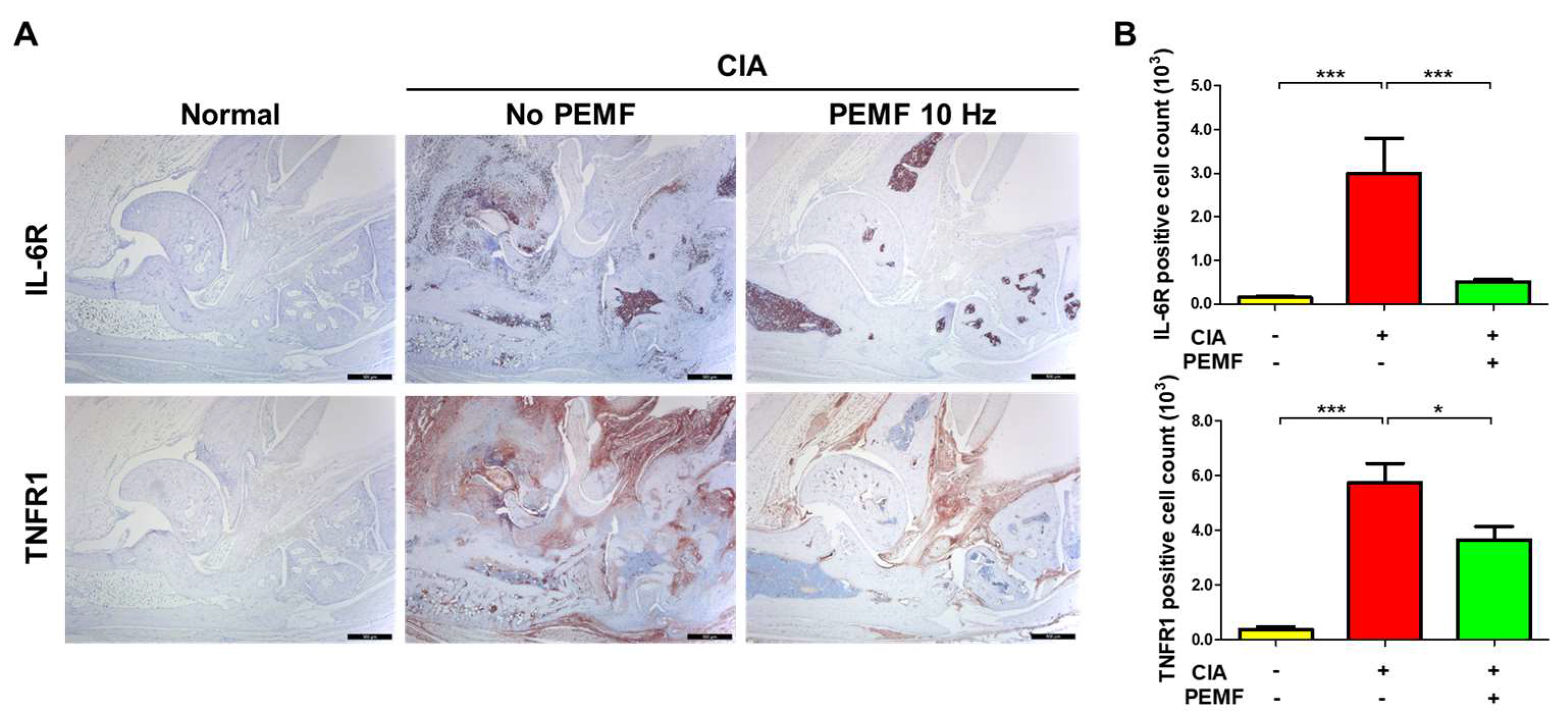 Ijms 24 01137 g007 Ijms 24 01137 g007