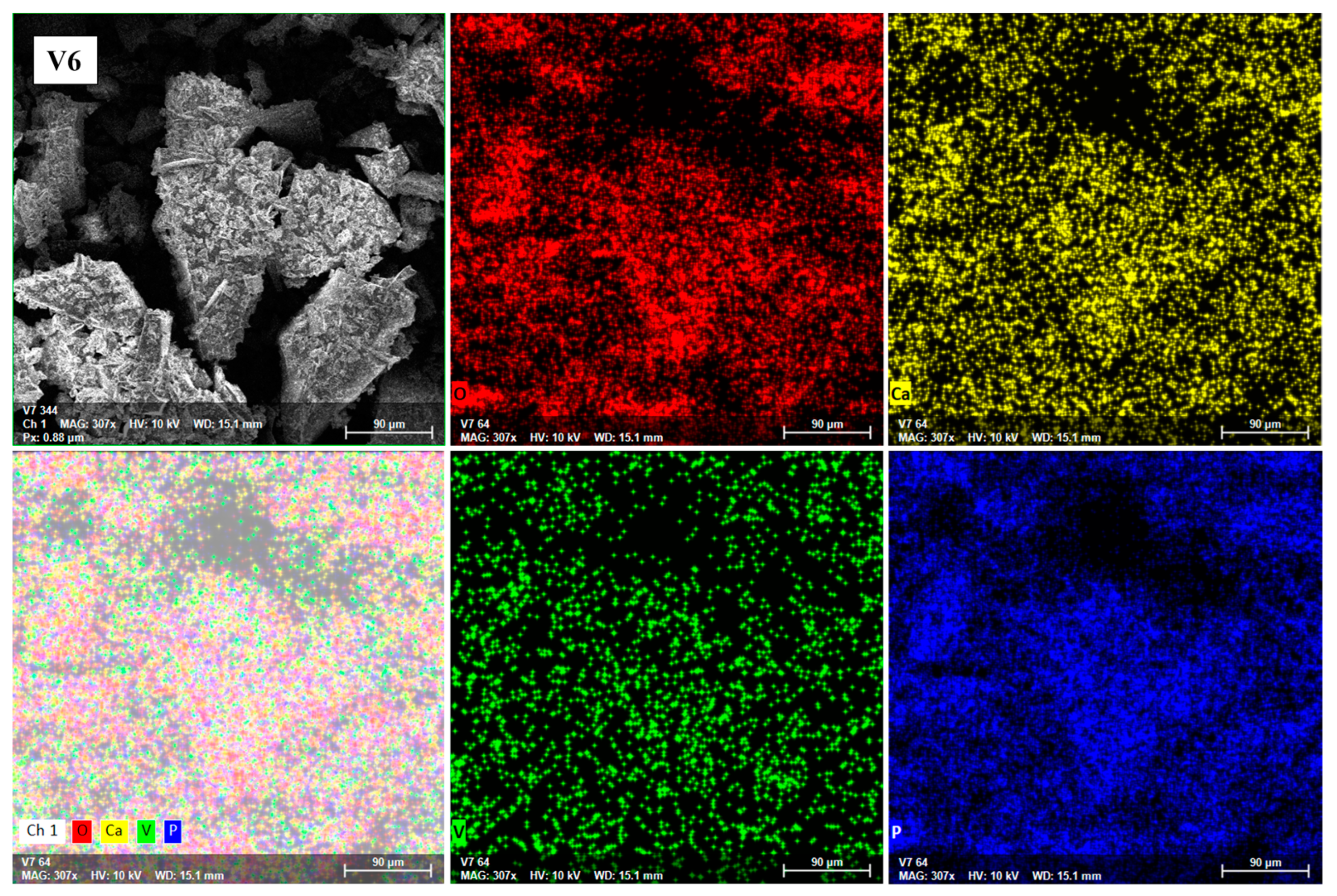 Ijms 24 01149 g004 Ijms 24 01149 g004