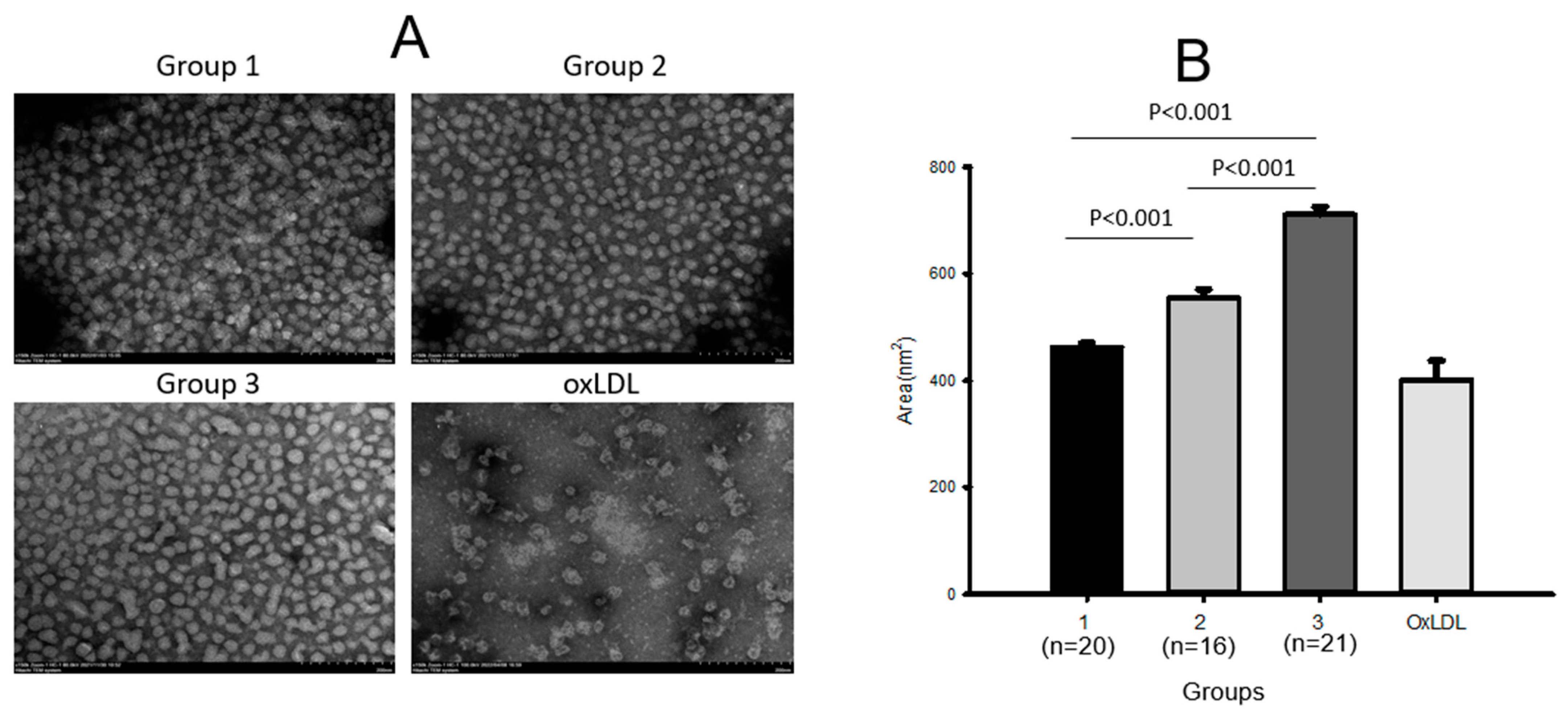 Ijms 24 01151 g001 Ijms 24 01151 g001