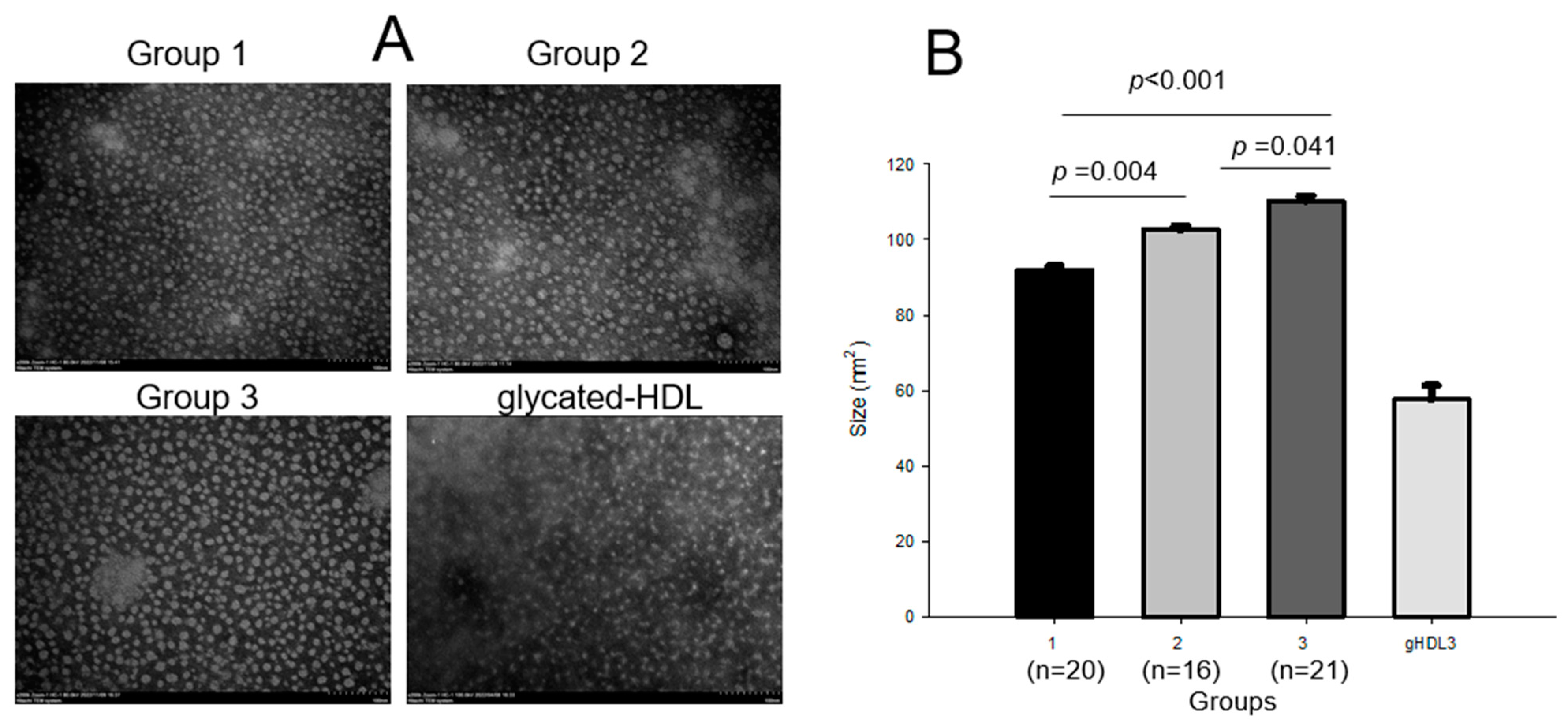Ijms 24 01151 g004 Ijms 24 01151 g004