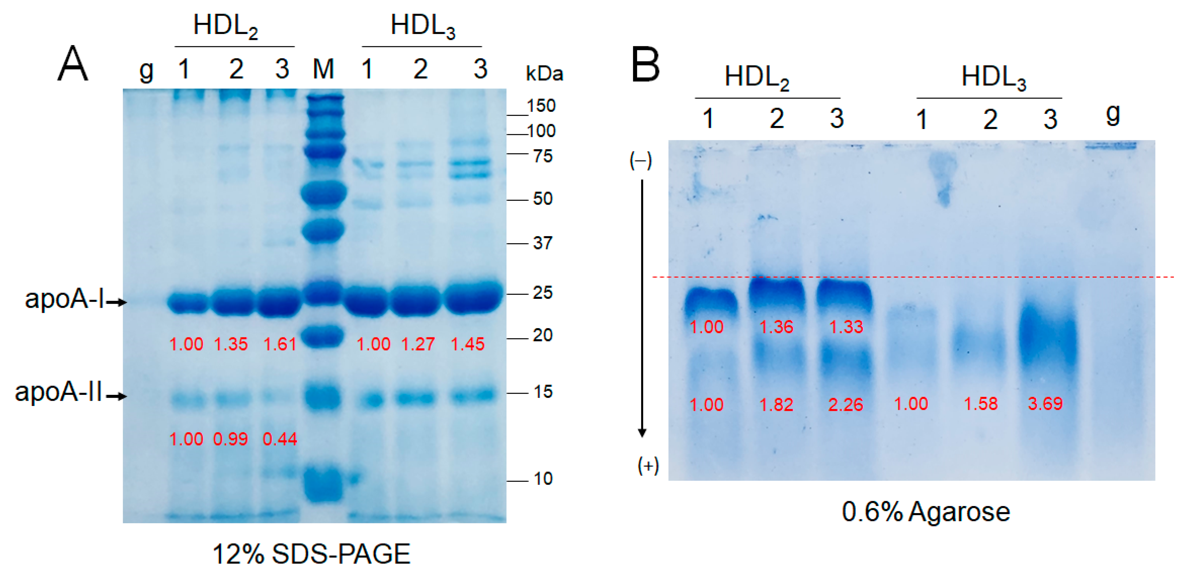 Ijms 24 01151 g005 Ijms 24 01151 g005