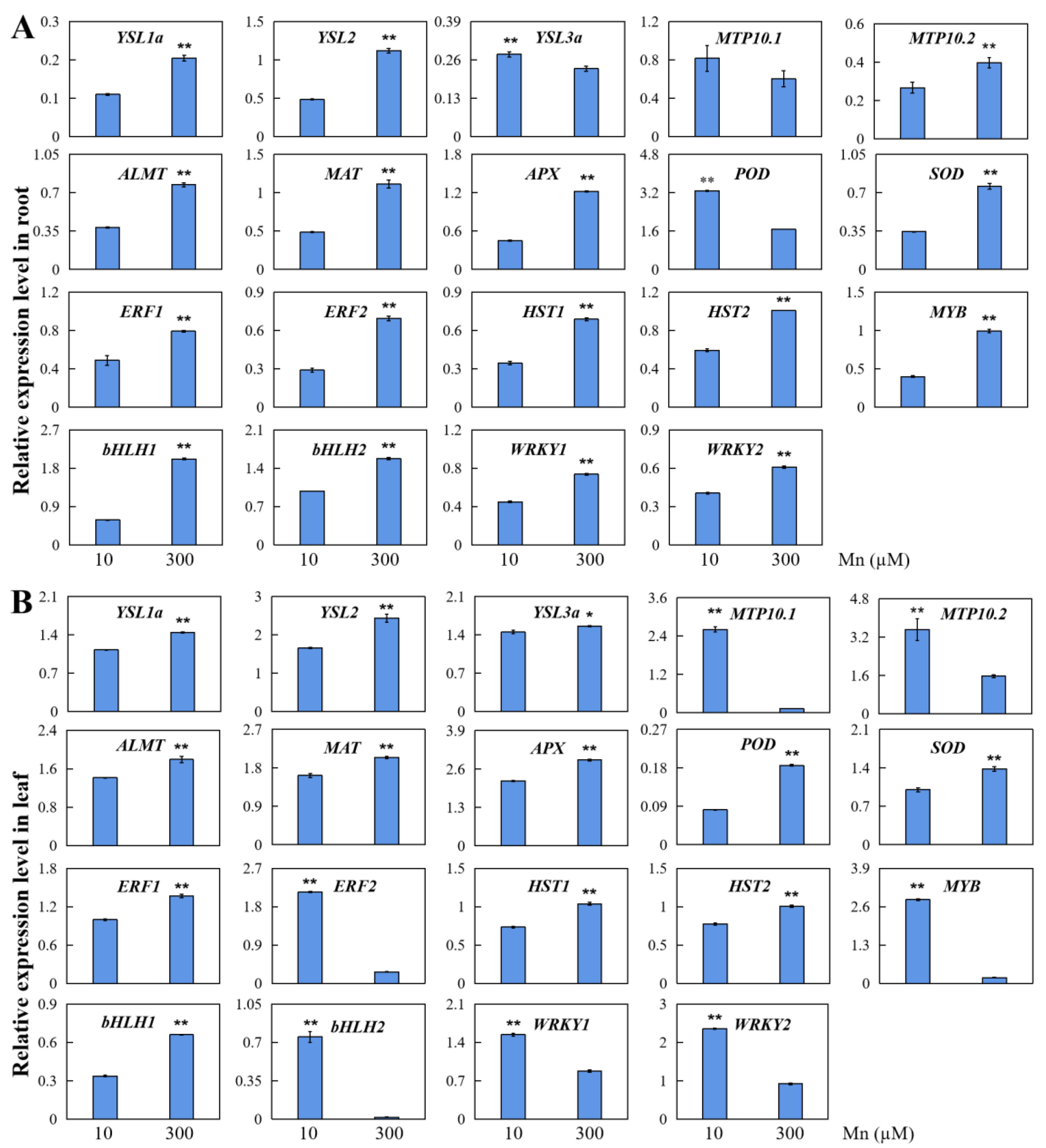 Ijms 24 01161 g004 Ijms 24 01161 g004