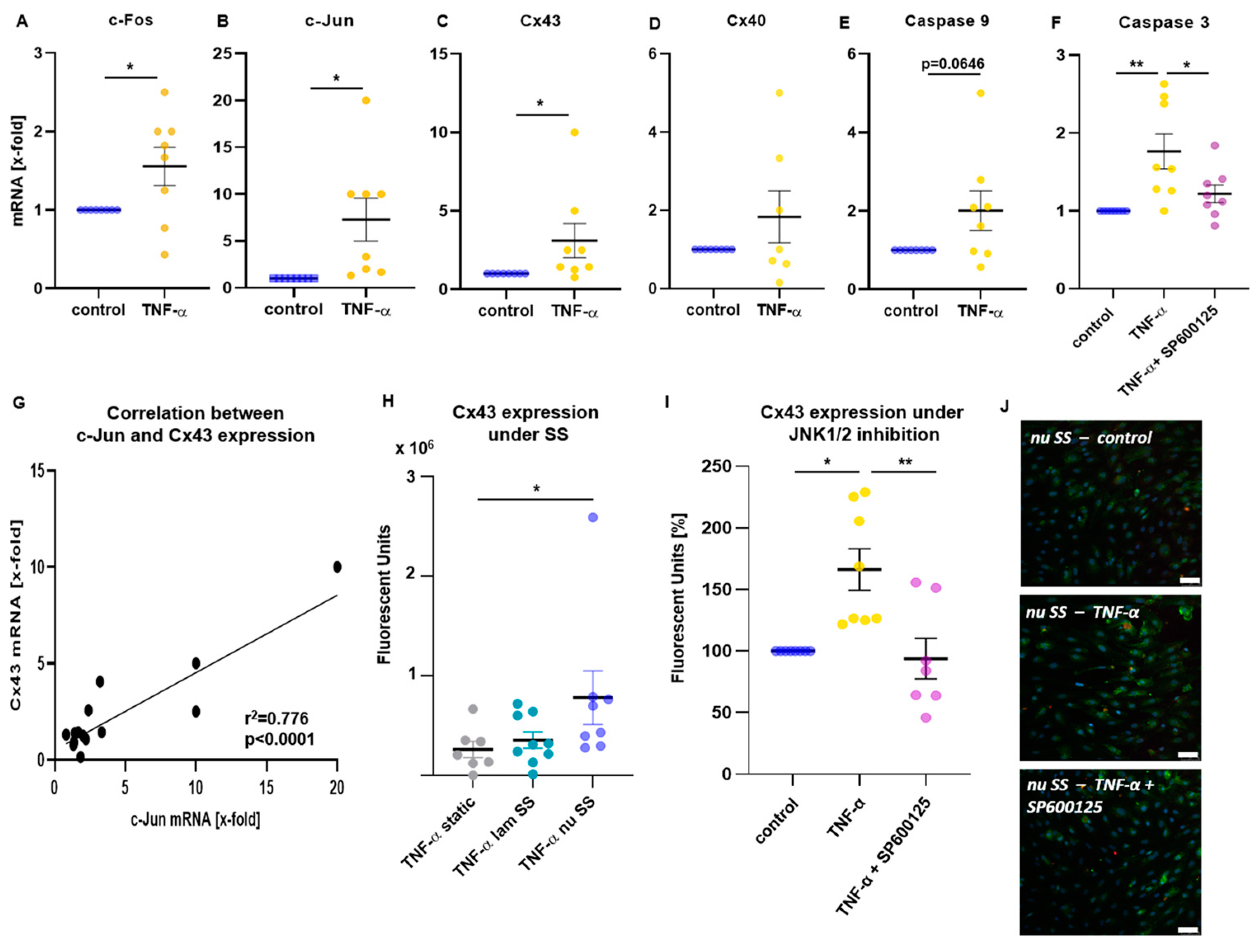Ijms 24 01174 g002 Ijms 24 01174 g002