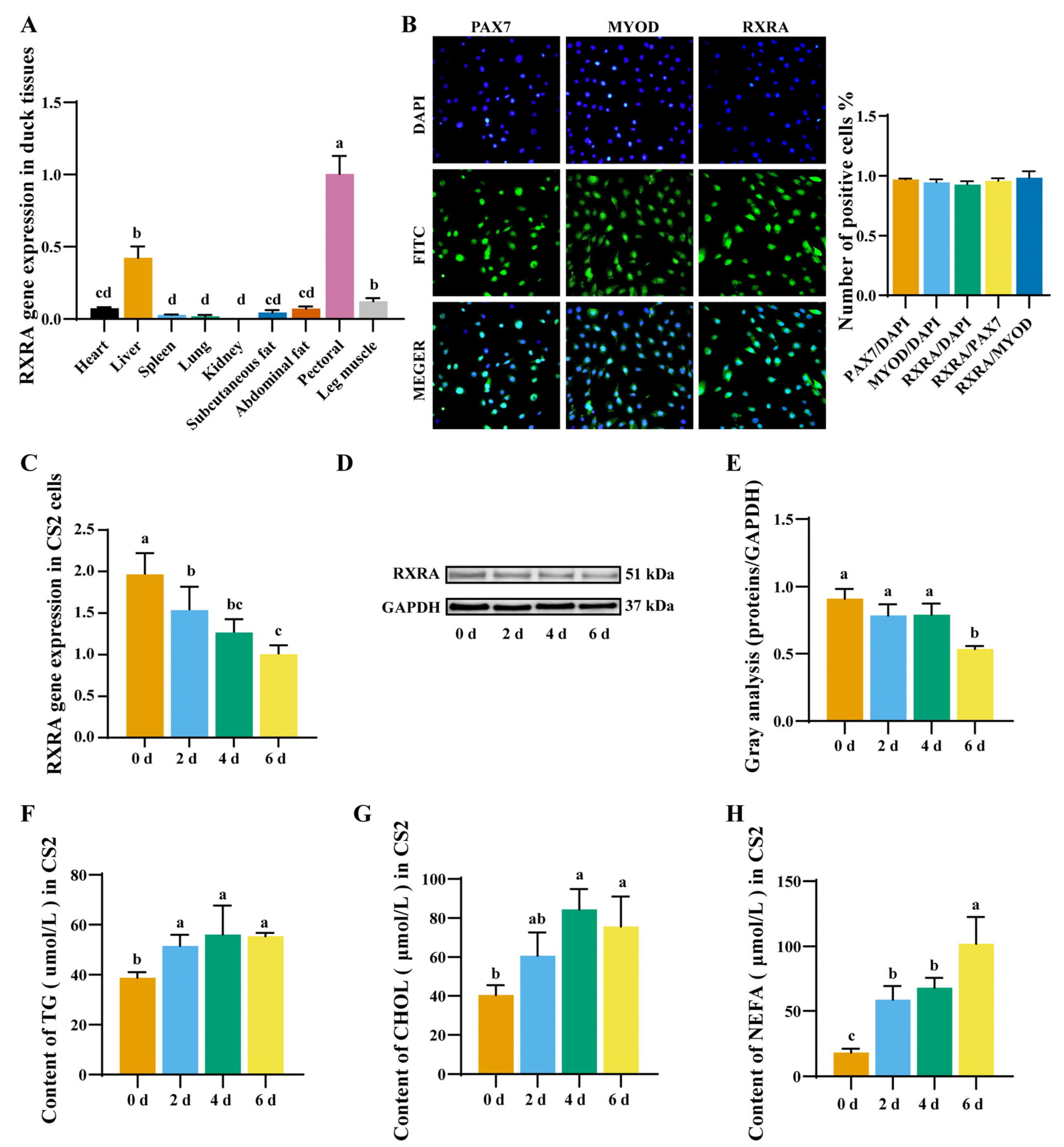 Ijms 24 01180 g001 Ijms 24 01180 g001