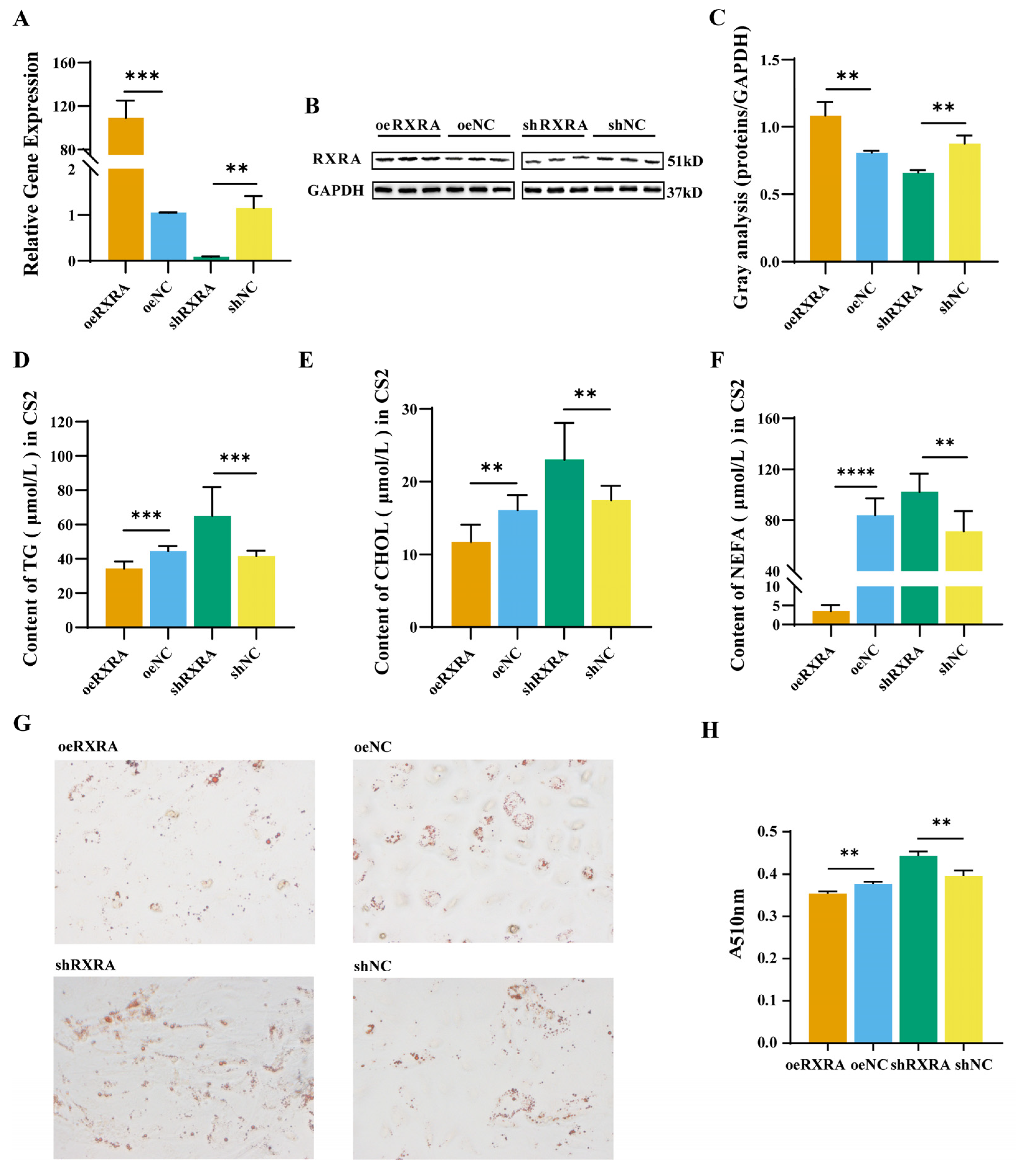 Ijms 24 01180 g002 Ijms 24 01180 g002