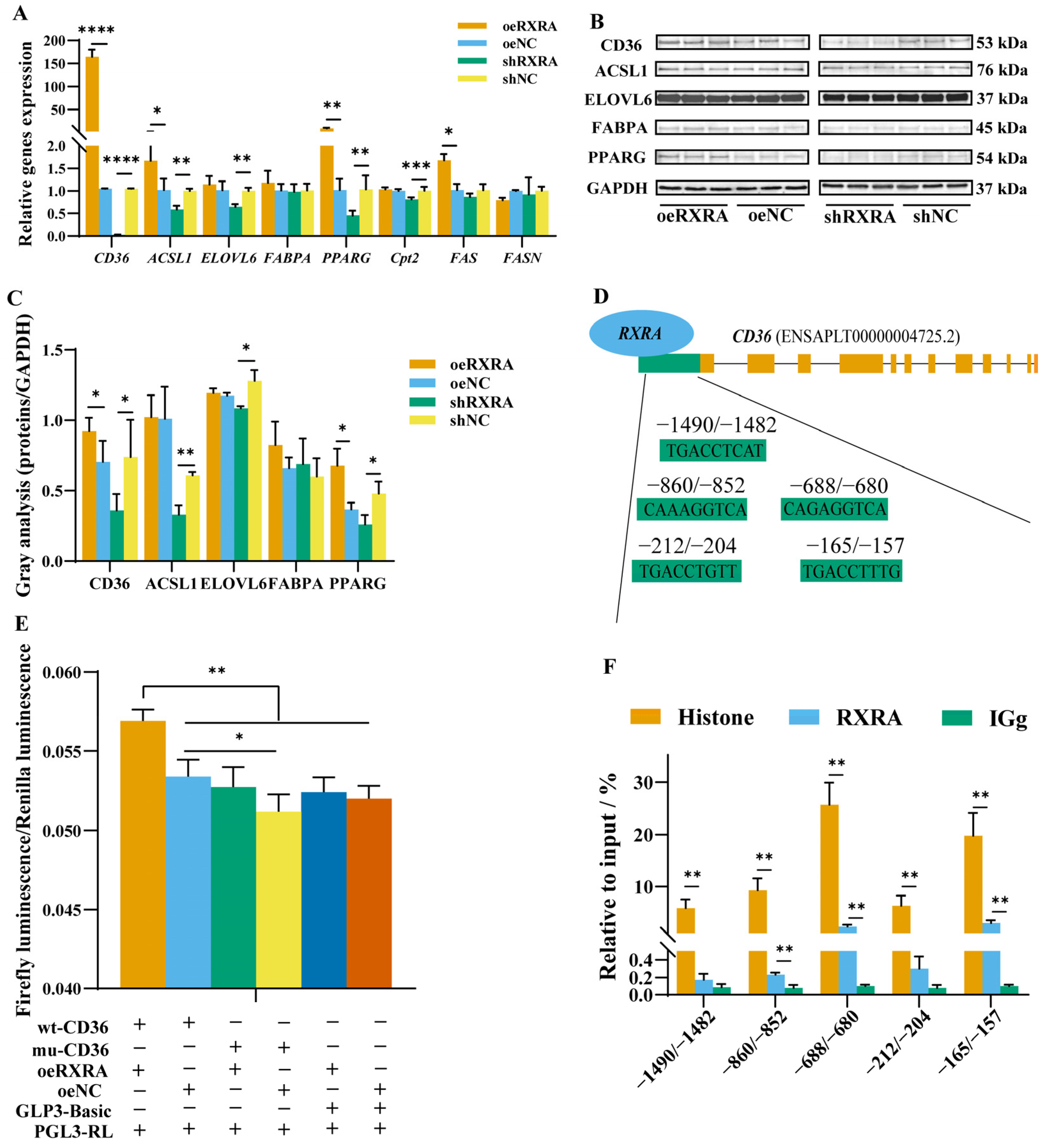 Ijms 24 01180 g003 Ijms 24 01180 g003