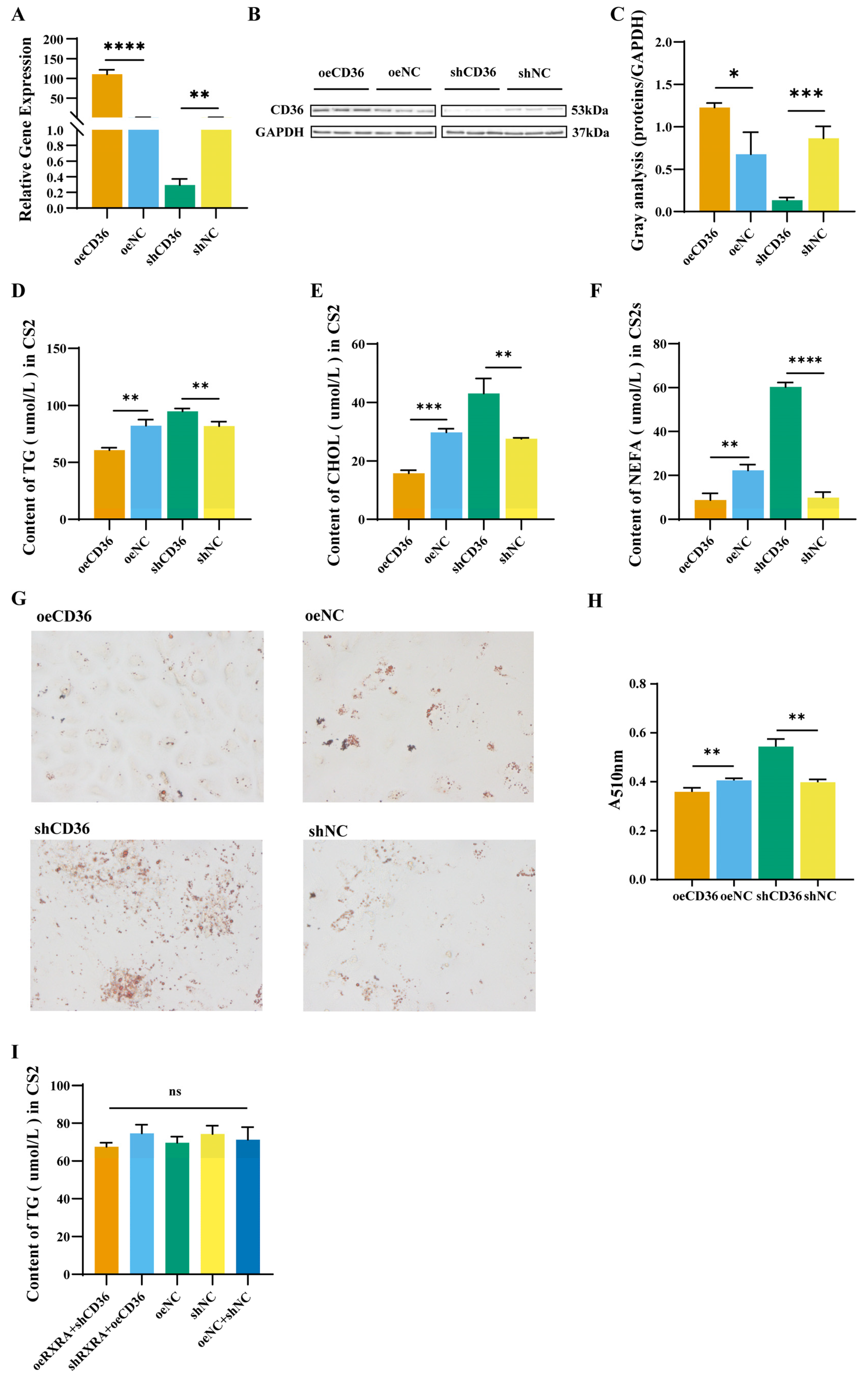 Ijms 24 01180 g004 Ijms 24 01180 g004