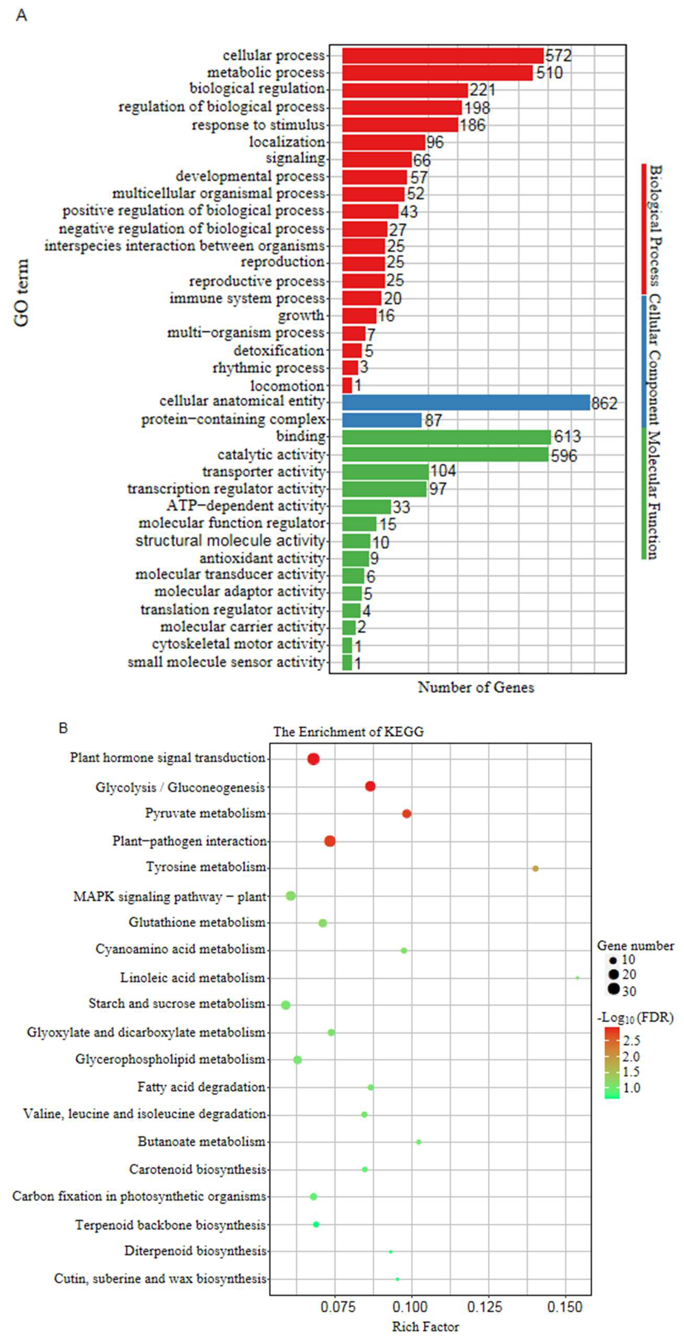 Ijms 24 01182 g005 Ijms 24 01182 g005