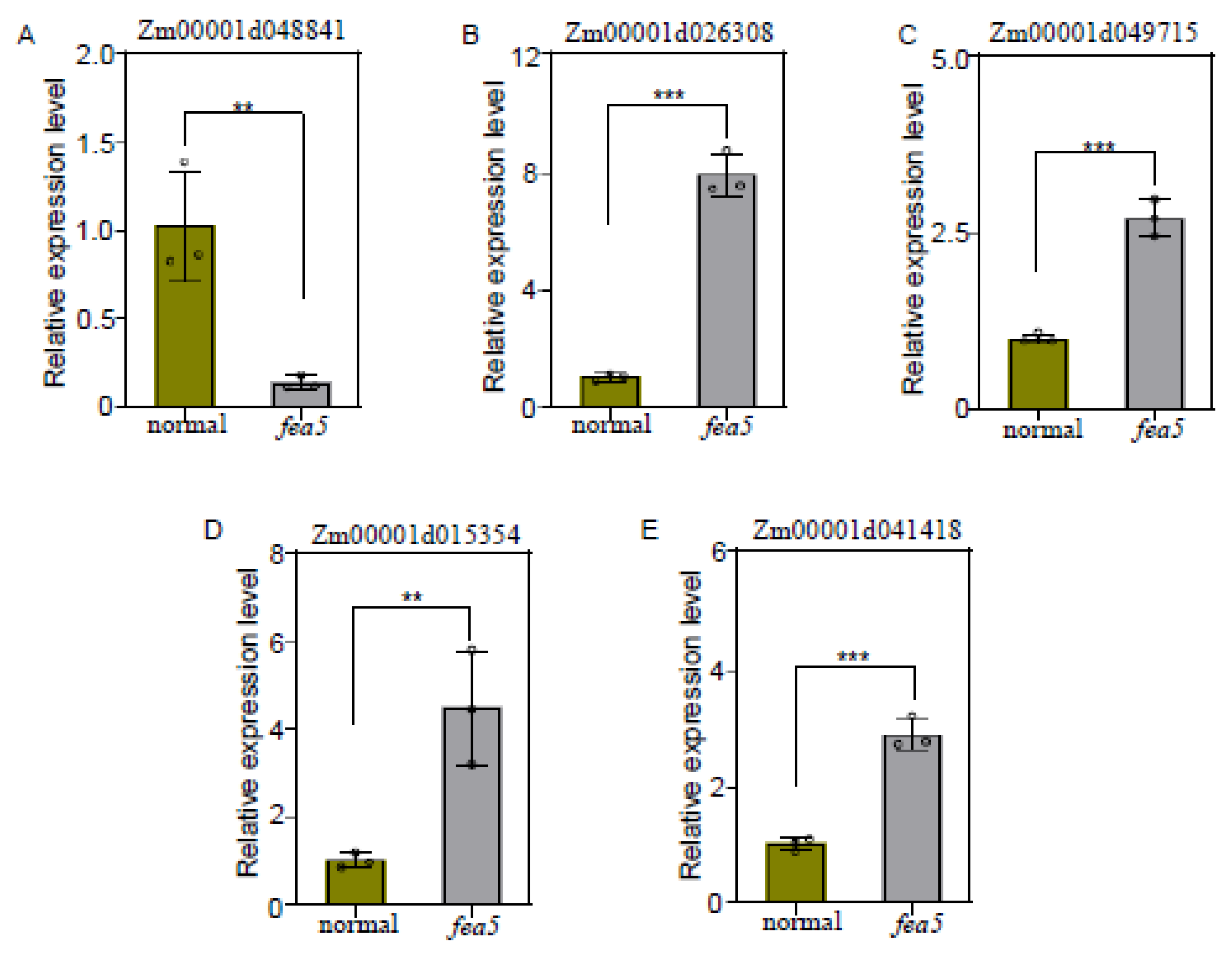 Ijms 24 01182 g007 Ijms 24 01182 g007