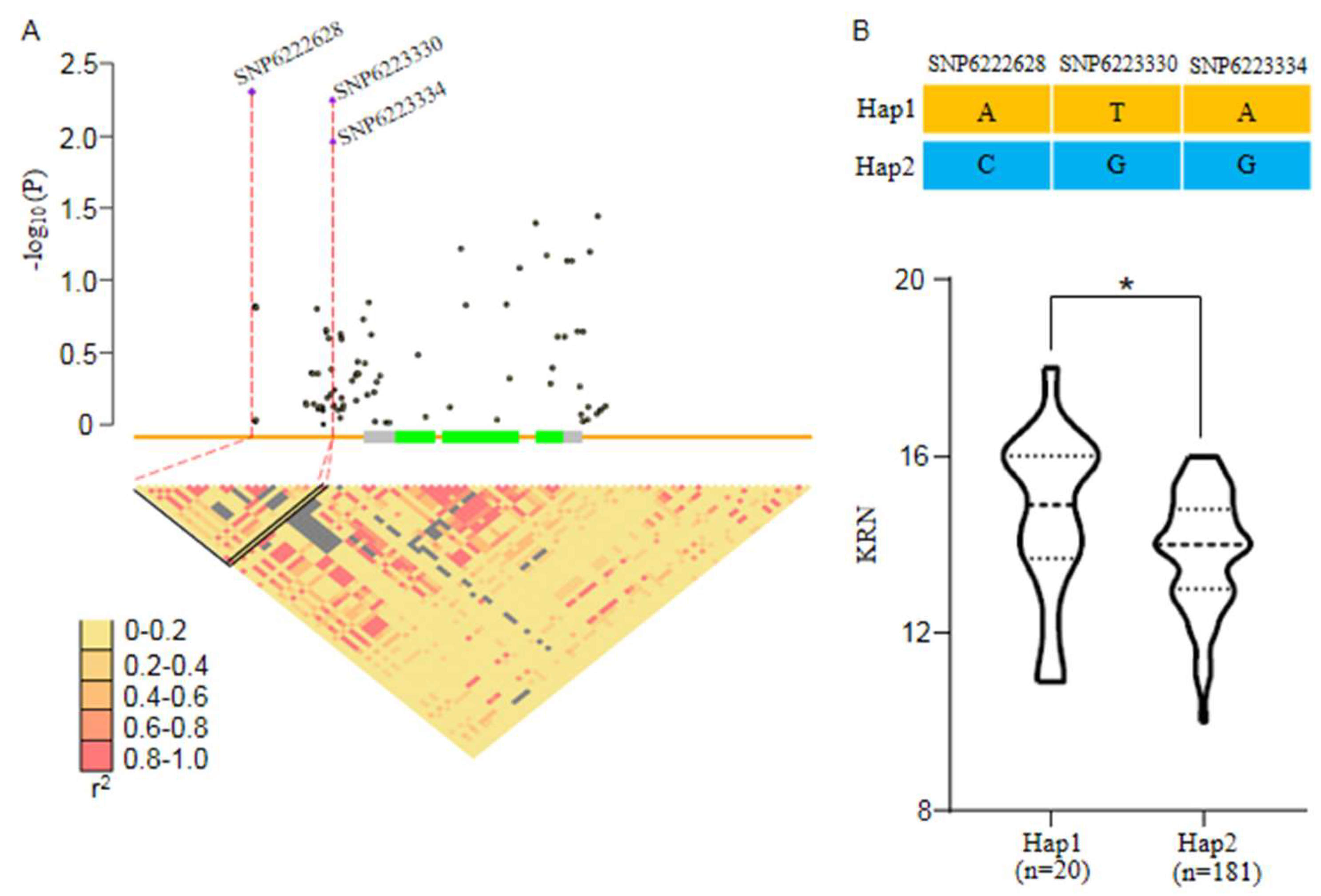 Ijms 24 01182 g008 Ijms 24 01182 g008