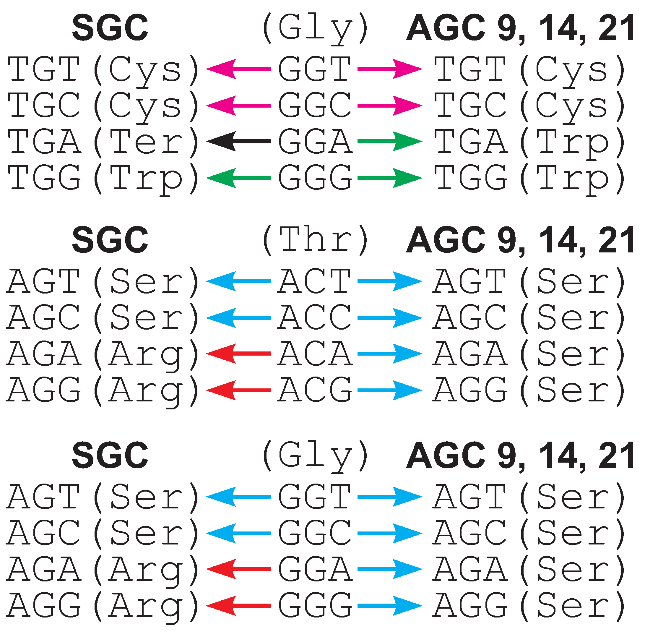 IJMS Free FullText The Influence of the Selection at the Amino
