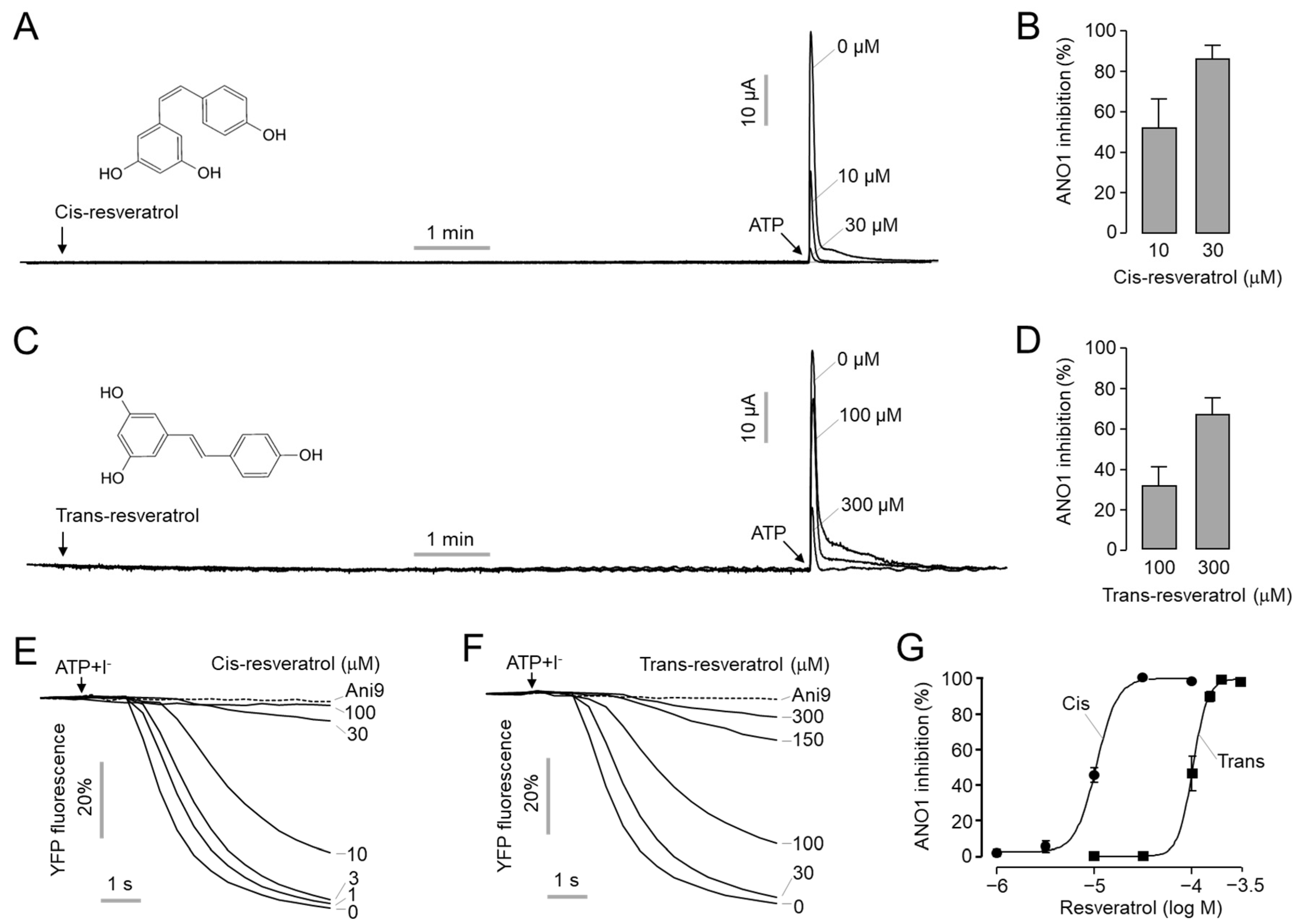 Inhibition of ANO1 by Cis- and Trans-Resveratrol and Their 