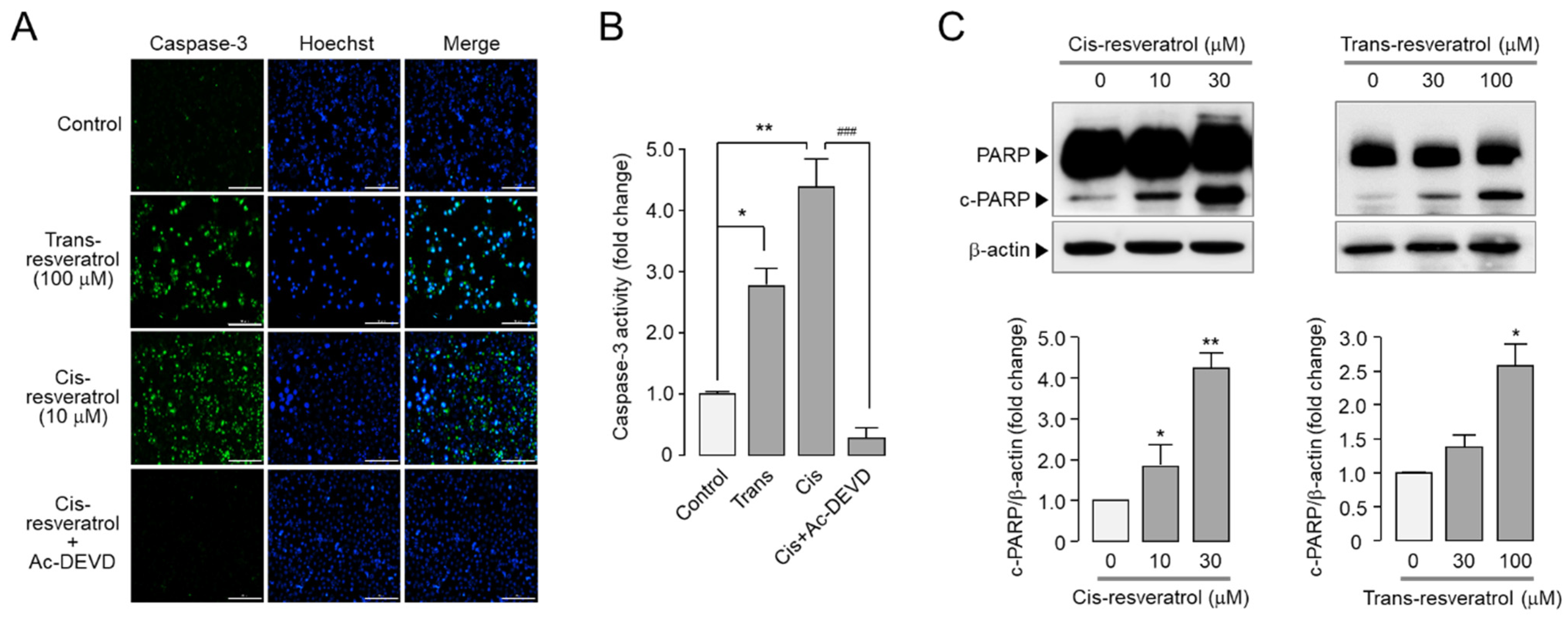 Ijms 24 01186 g006 Ijms 24 01186 g006