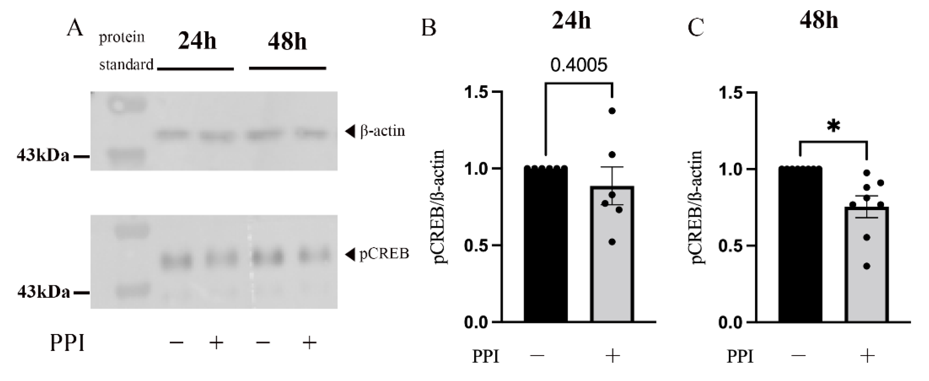 Ijms 24 01191 g005 Ijms 24 01191 g005