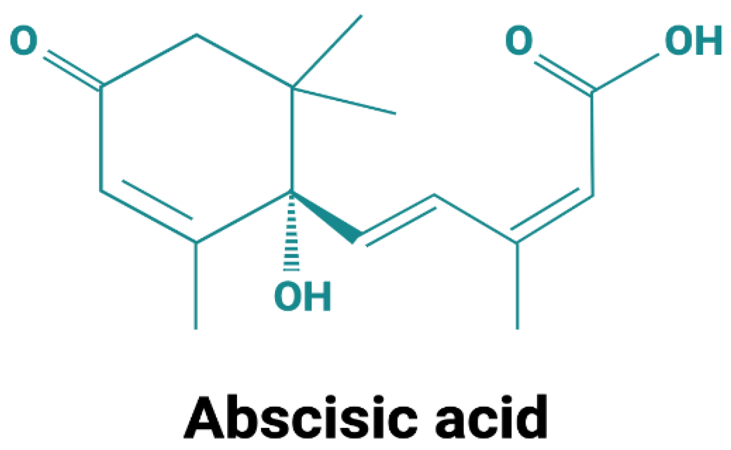 Ijms 24 01199 g001 Ijms 24 01199 g001