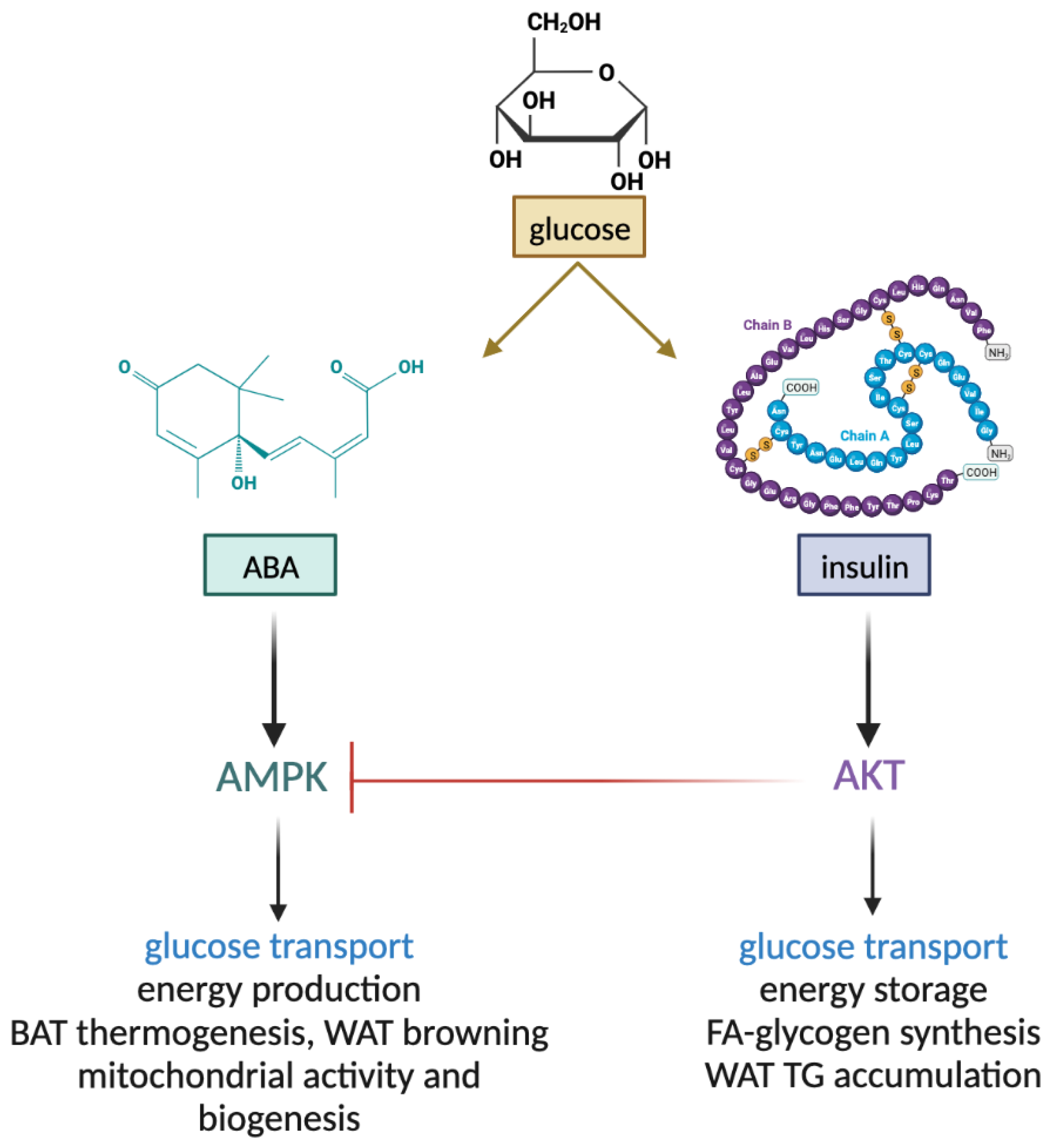 Ijms 24 01199 g002 Ijms 24 01199 g002
