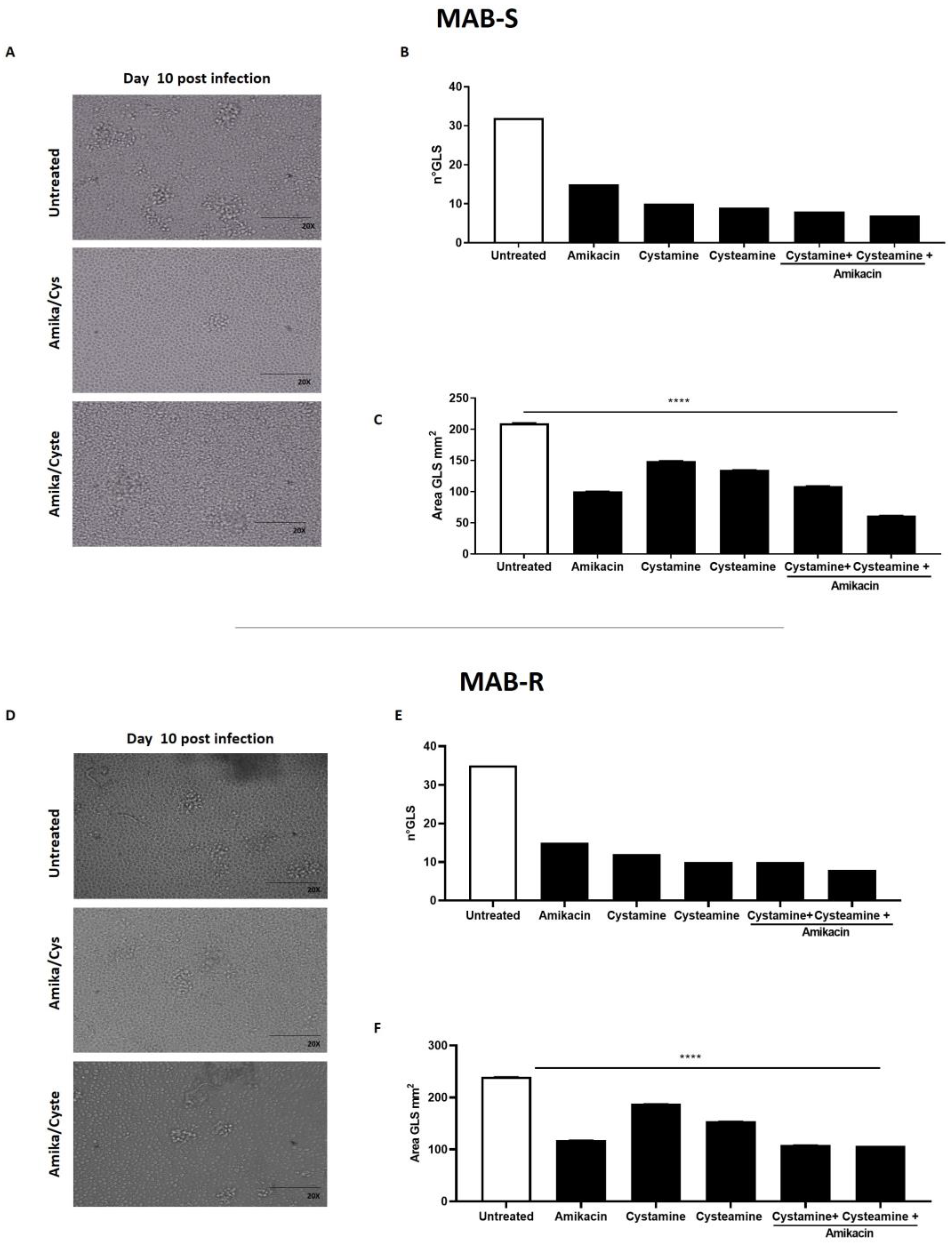 Ijms 24 01203 g003 Ijms 24 01203 g003