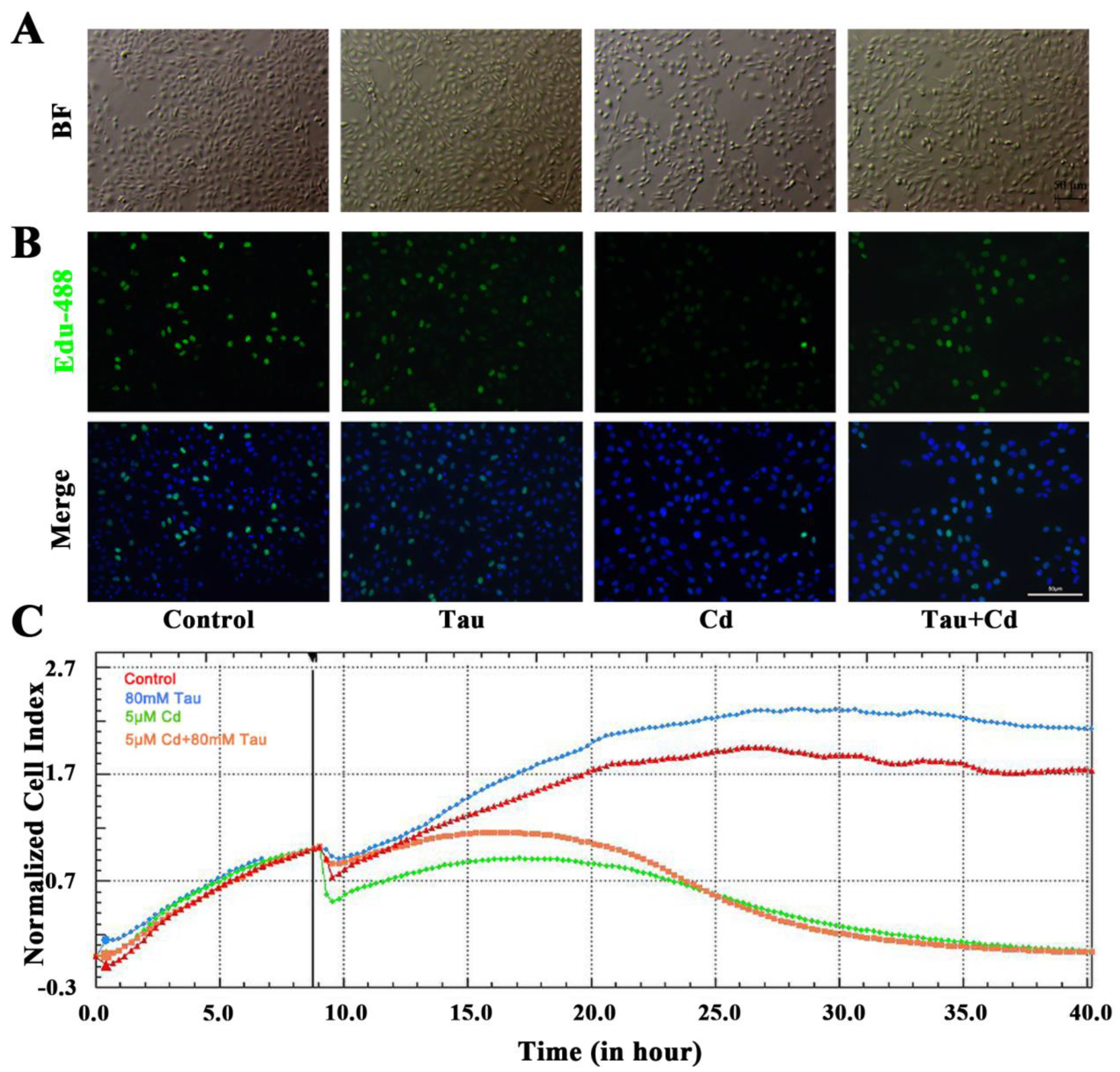 Ijms 24 01205 g001 Ijms 24 01205 g001