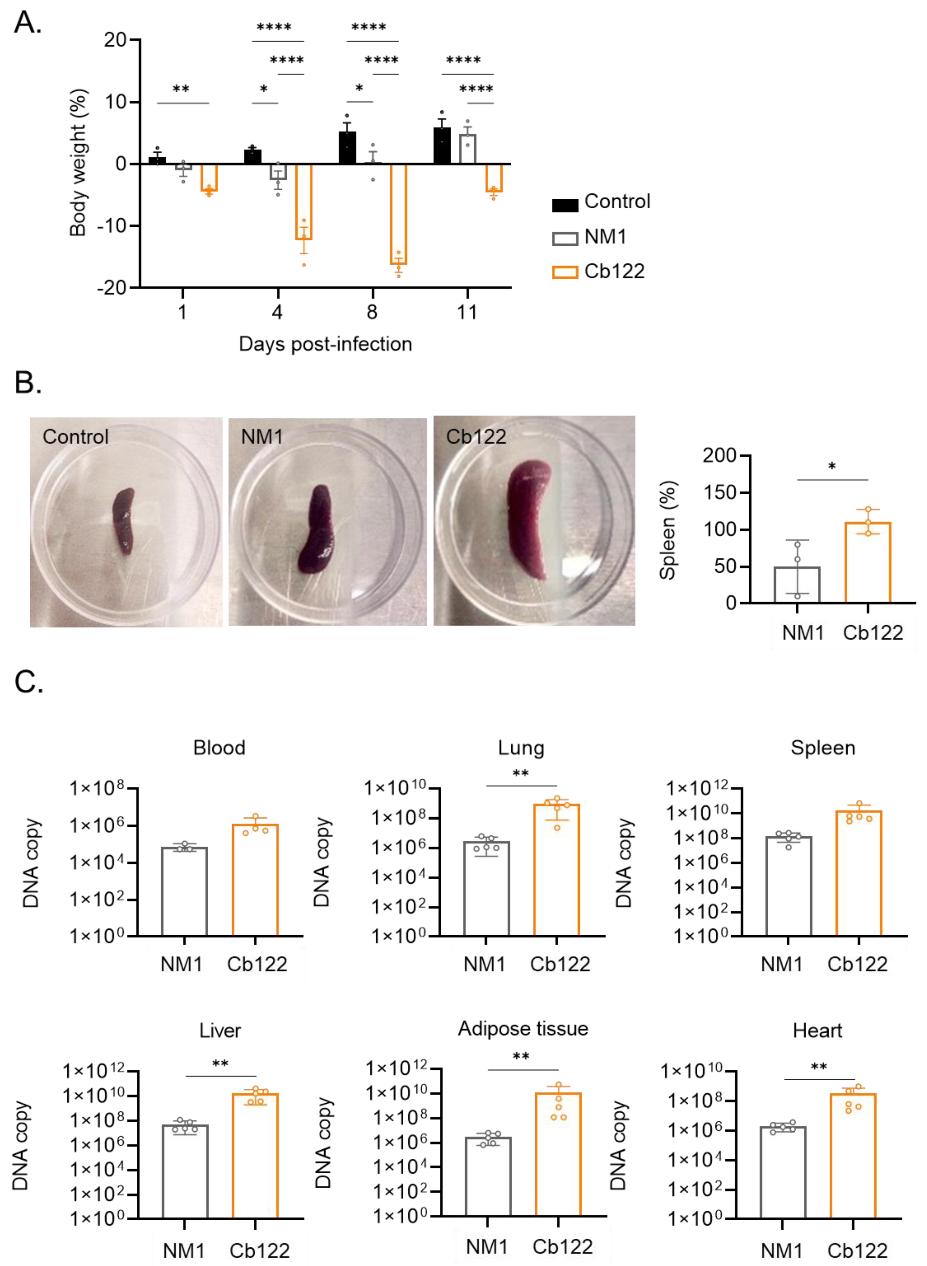 Ijms 24 01209 g002 Ijms 24 01209 g002