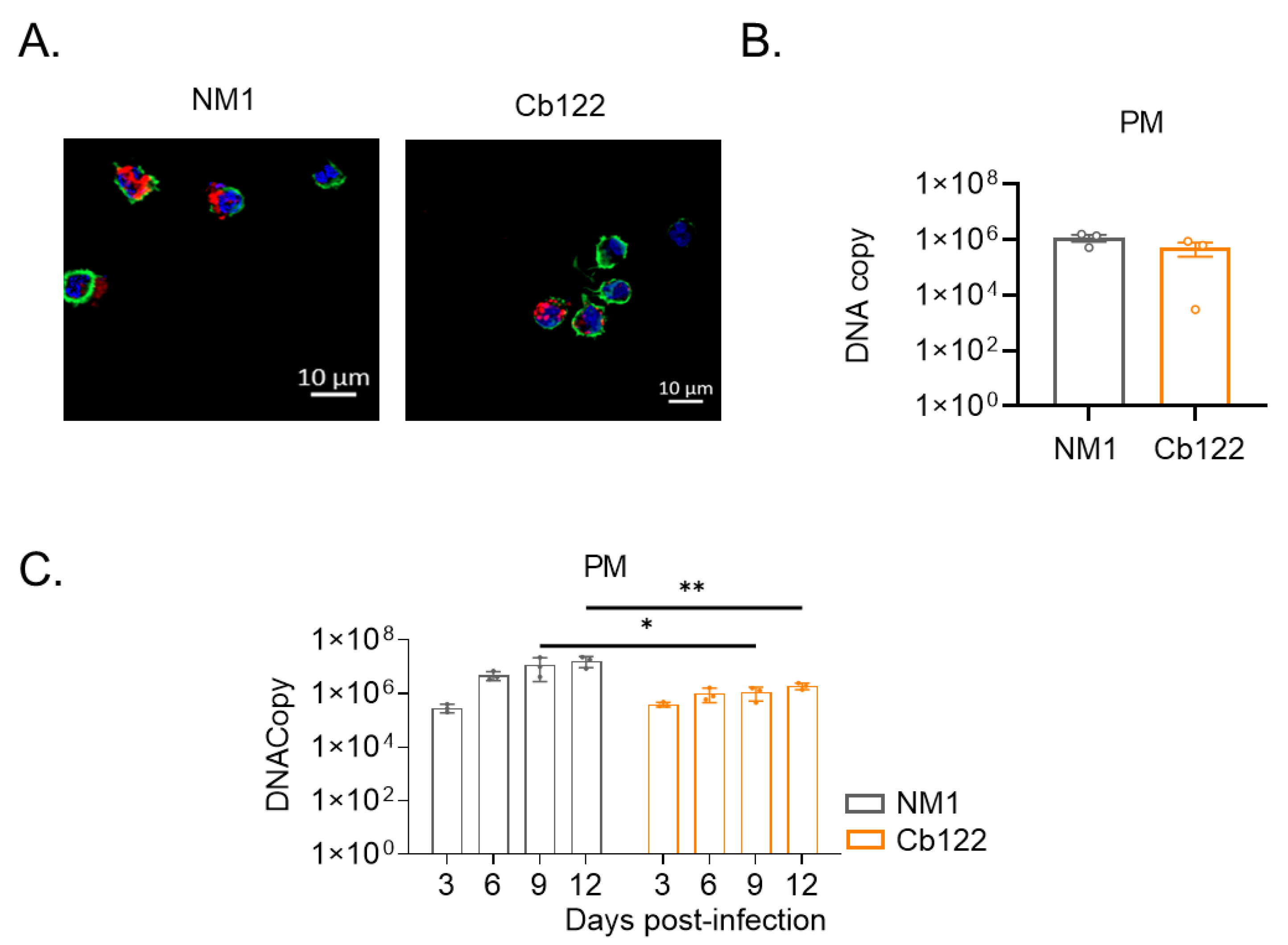 Ijms 24 01209 g004 Ijms 24 01209 g004