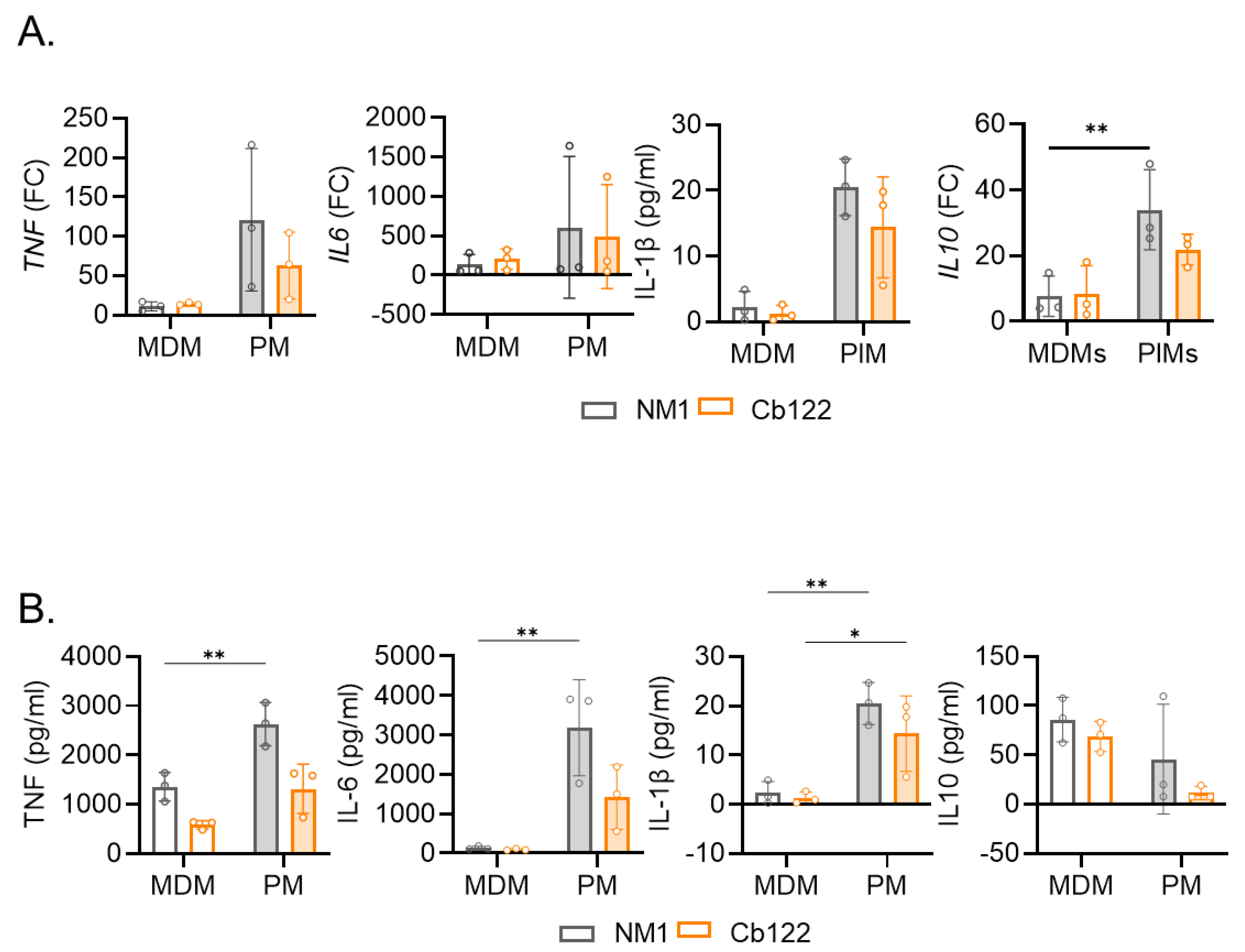 Ijms 24 01209 g005 Ijms 24 01209 g005