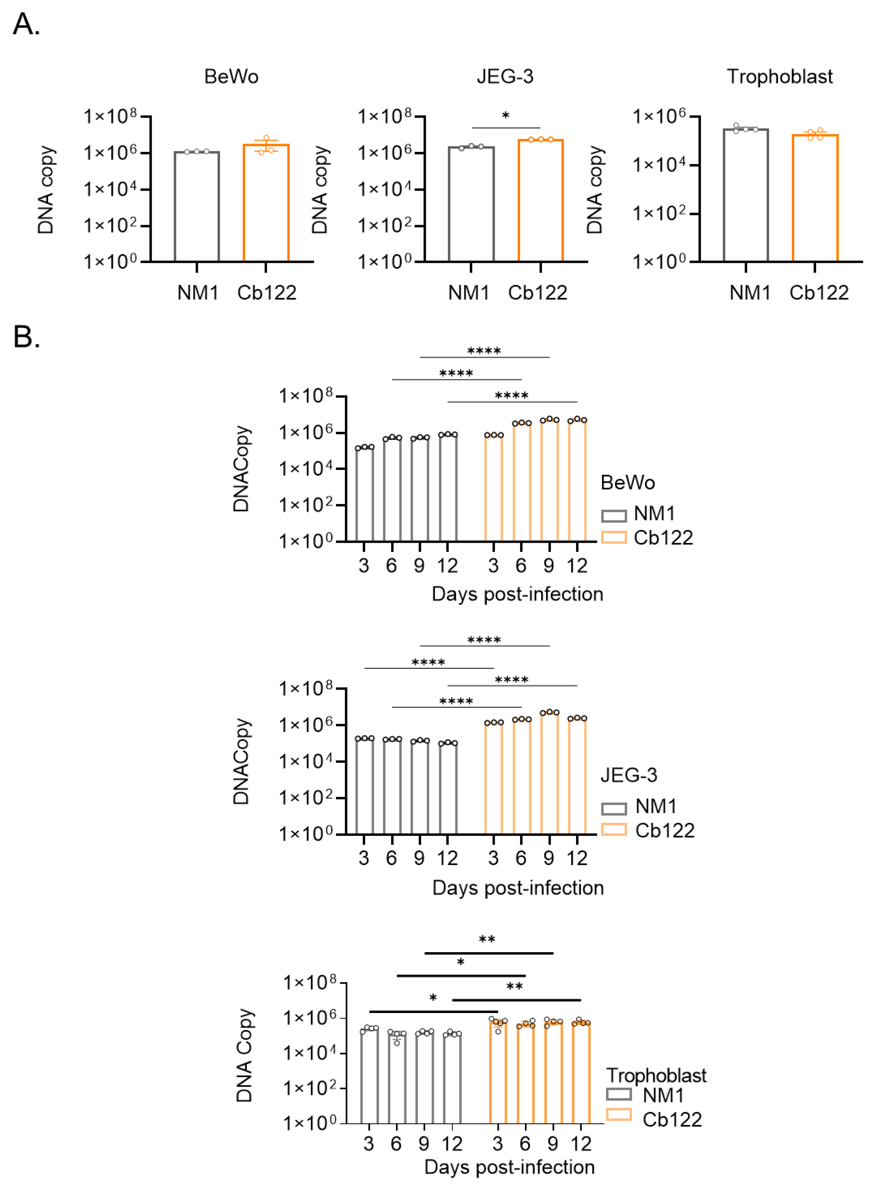 Ijms 24 01209 g006 Ijms 24 01209 g006