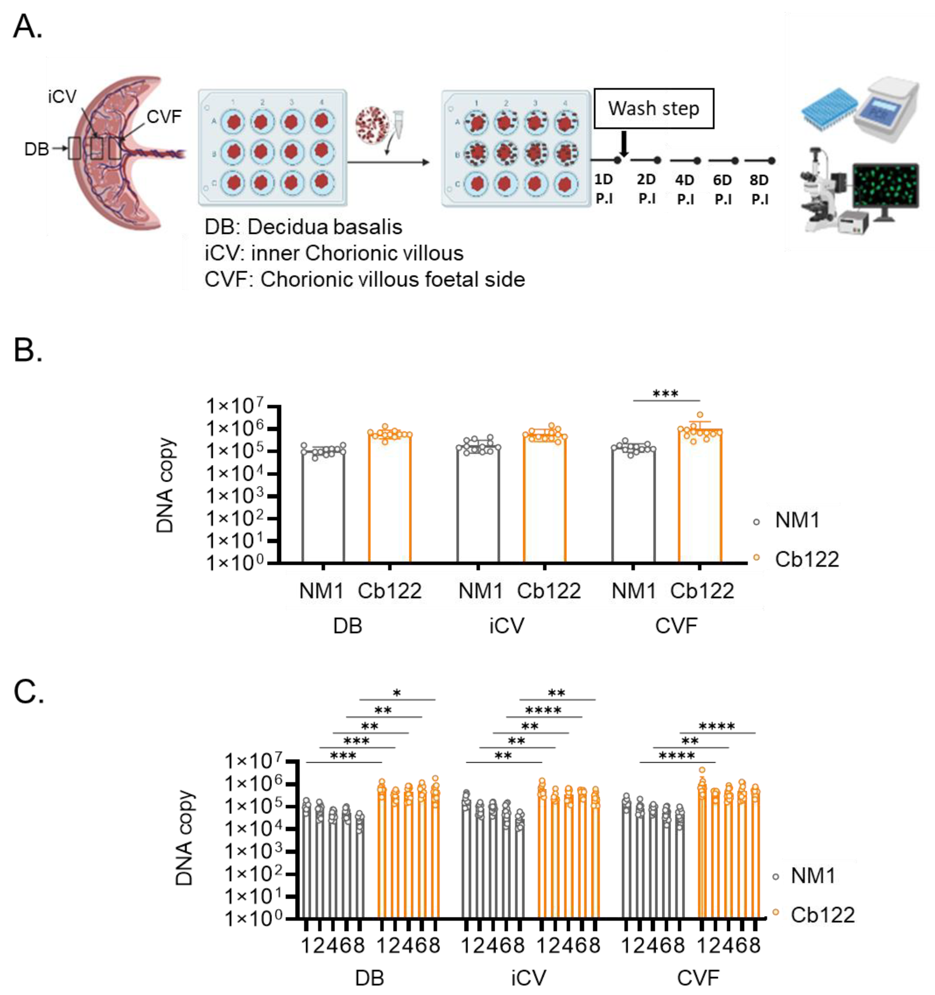 Ijms 24 01209 g007 Ijms 24 01209 g007