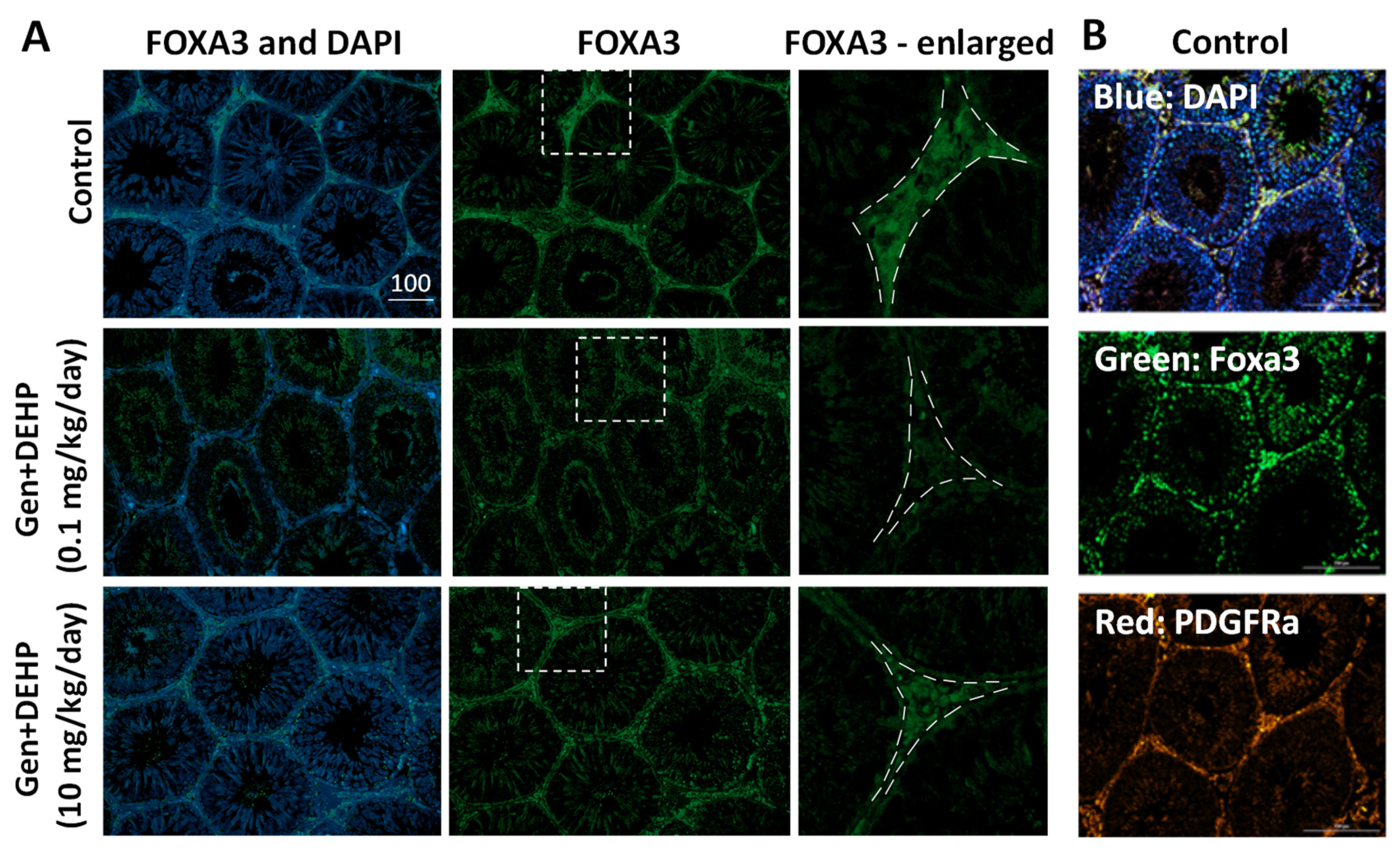 Ijms 24 01211 g004 Ijms 24 01211 g004