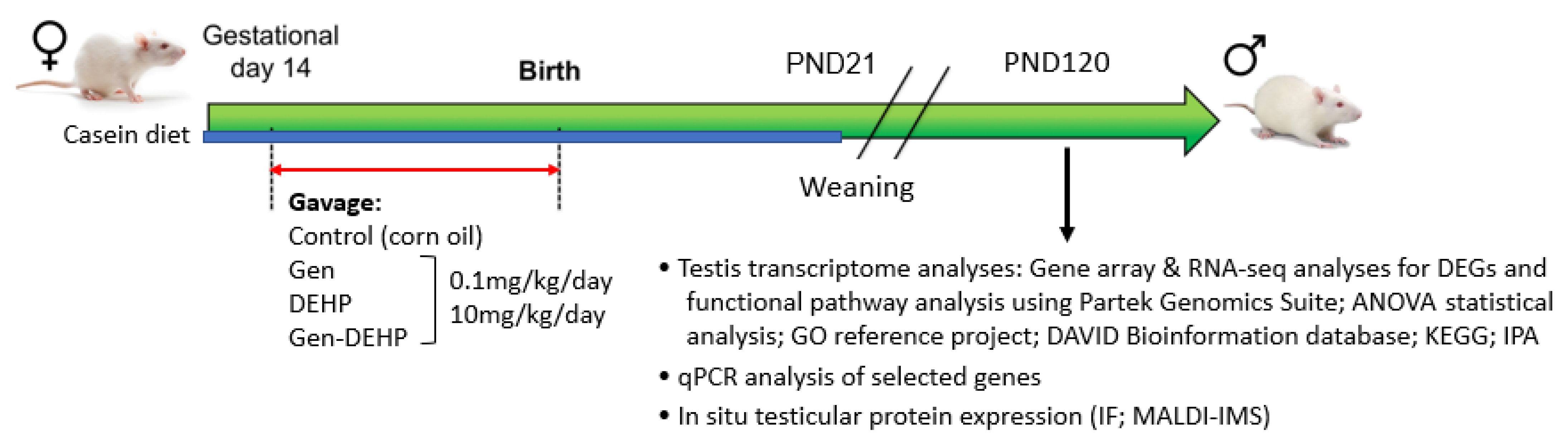 Ijms 24 01211 g006 Ijms 24 01211 g006