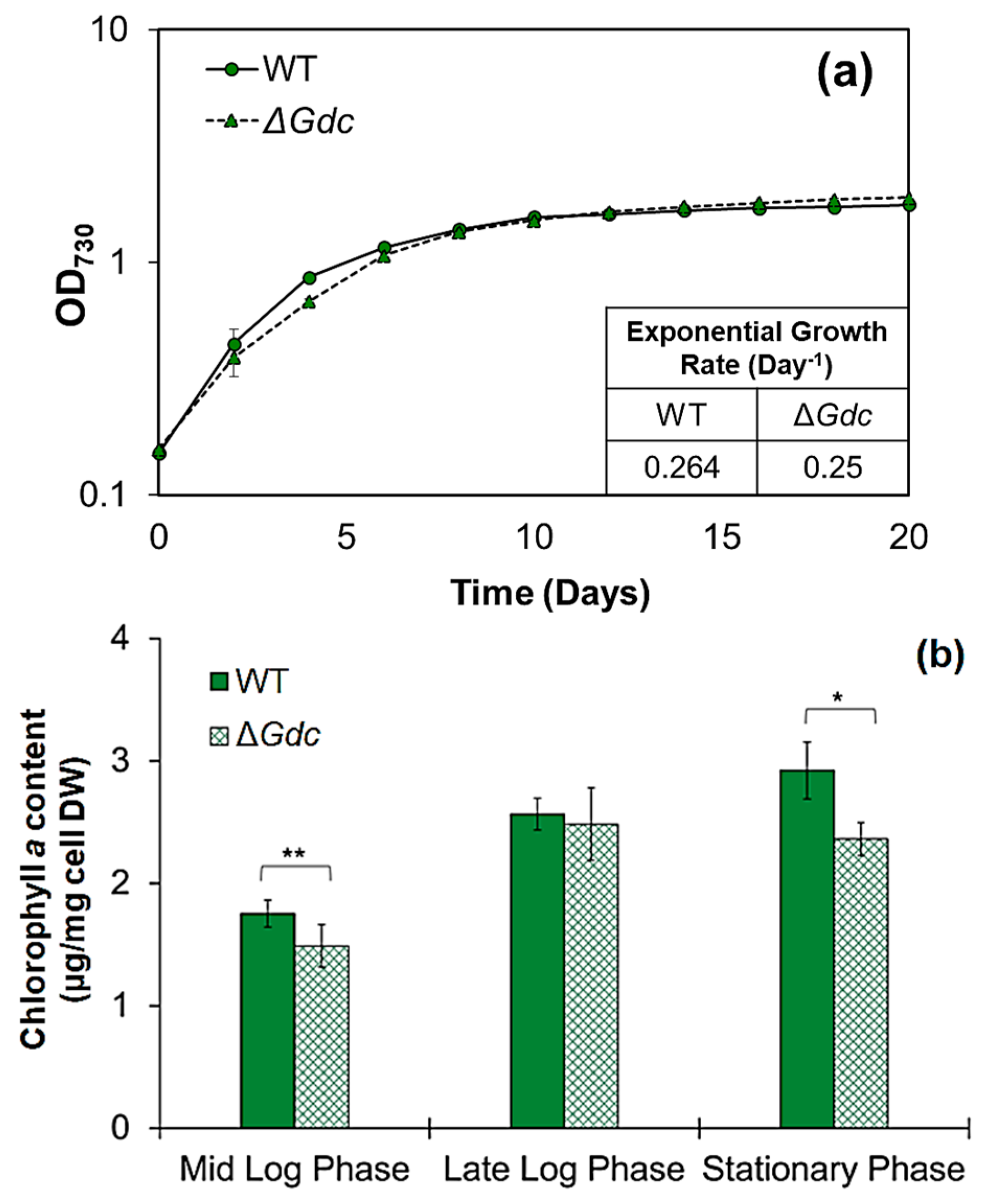 Ijms 24 01213 g003 Ijms 24 01213 g003