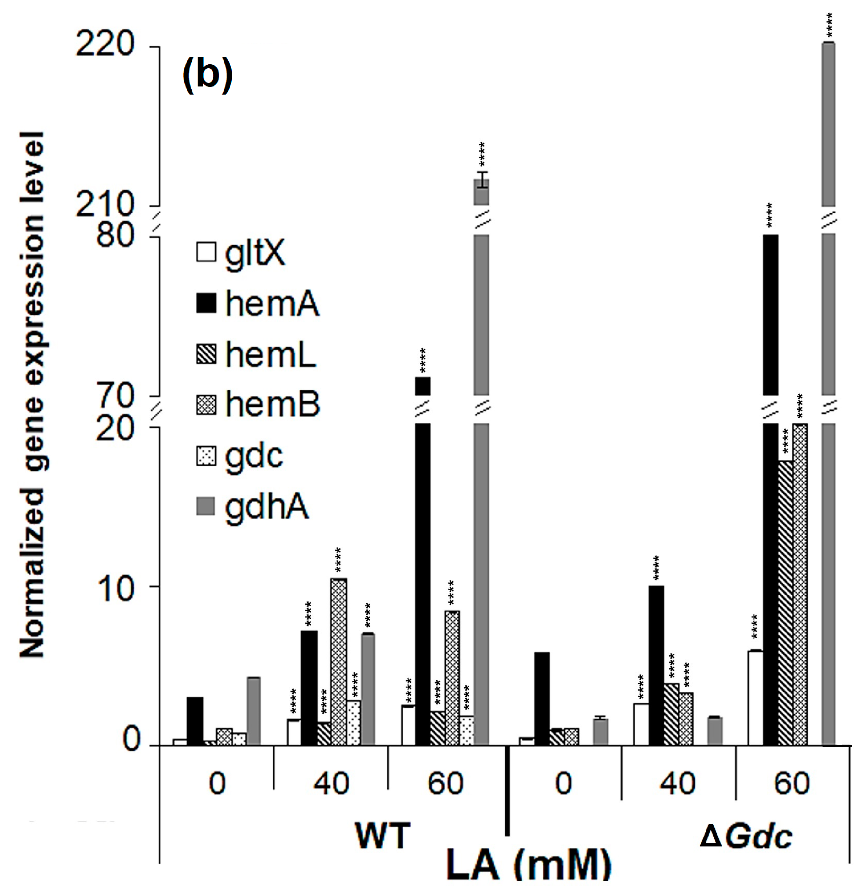 Ijms 24 01213 g005b Ijms 24 01213 g005b