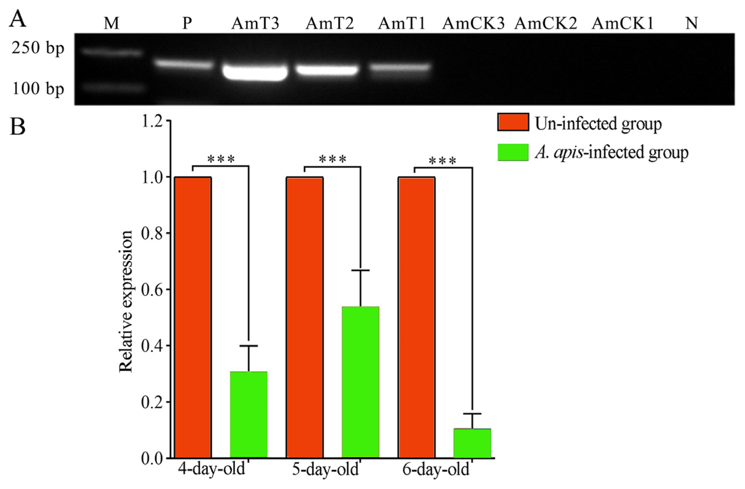 Ijms 24 01214 g002 Ijms 24 01214 g002