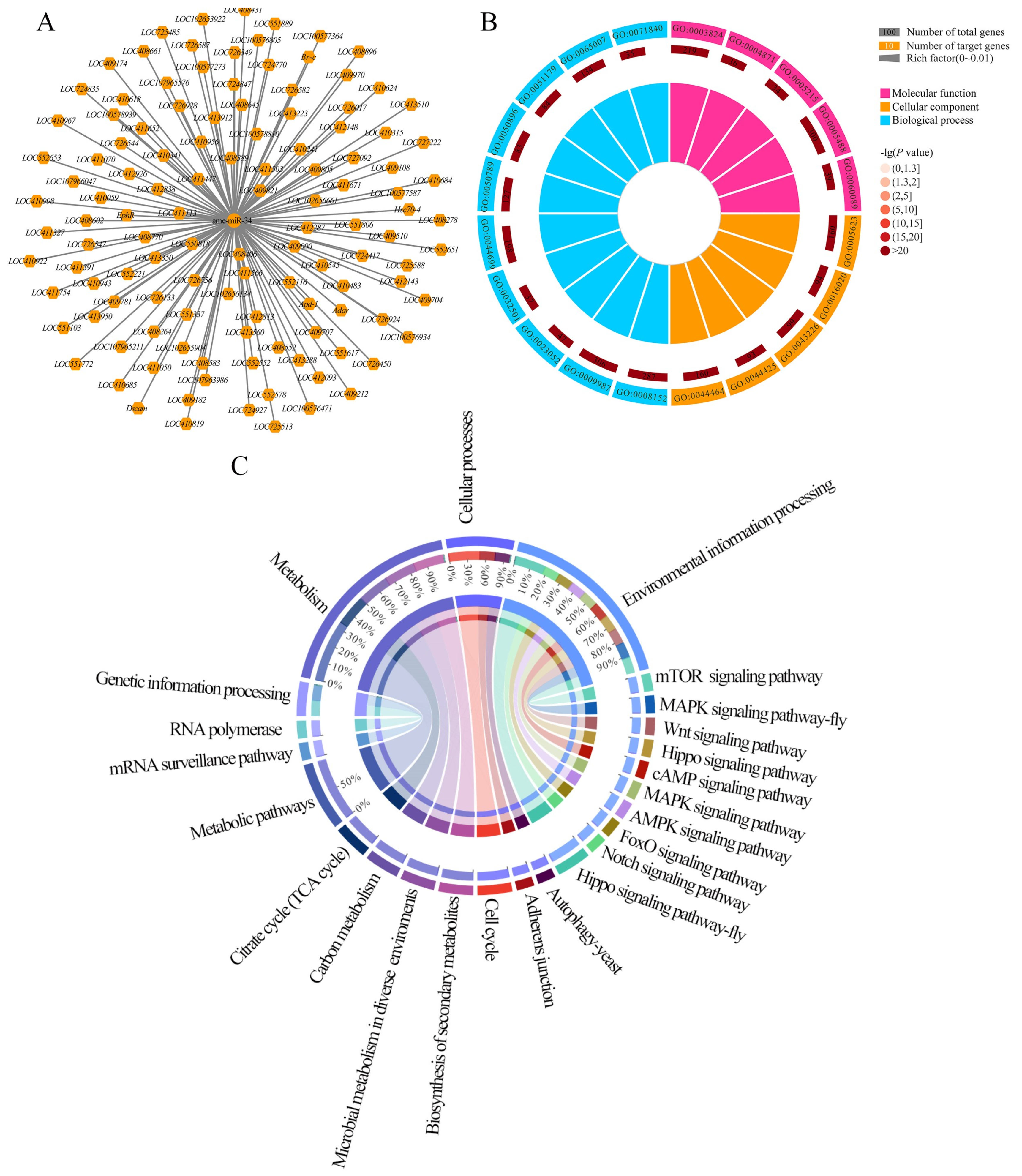 Ijms 24 01214 g006 Ijms 24 01214 g006